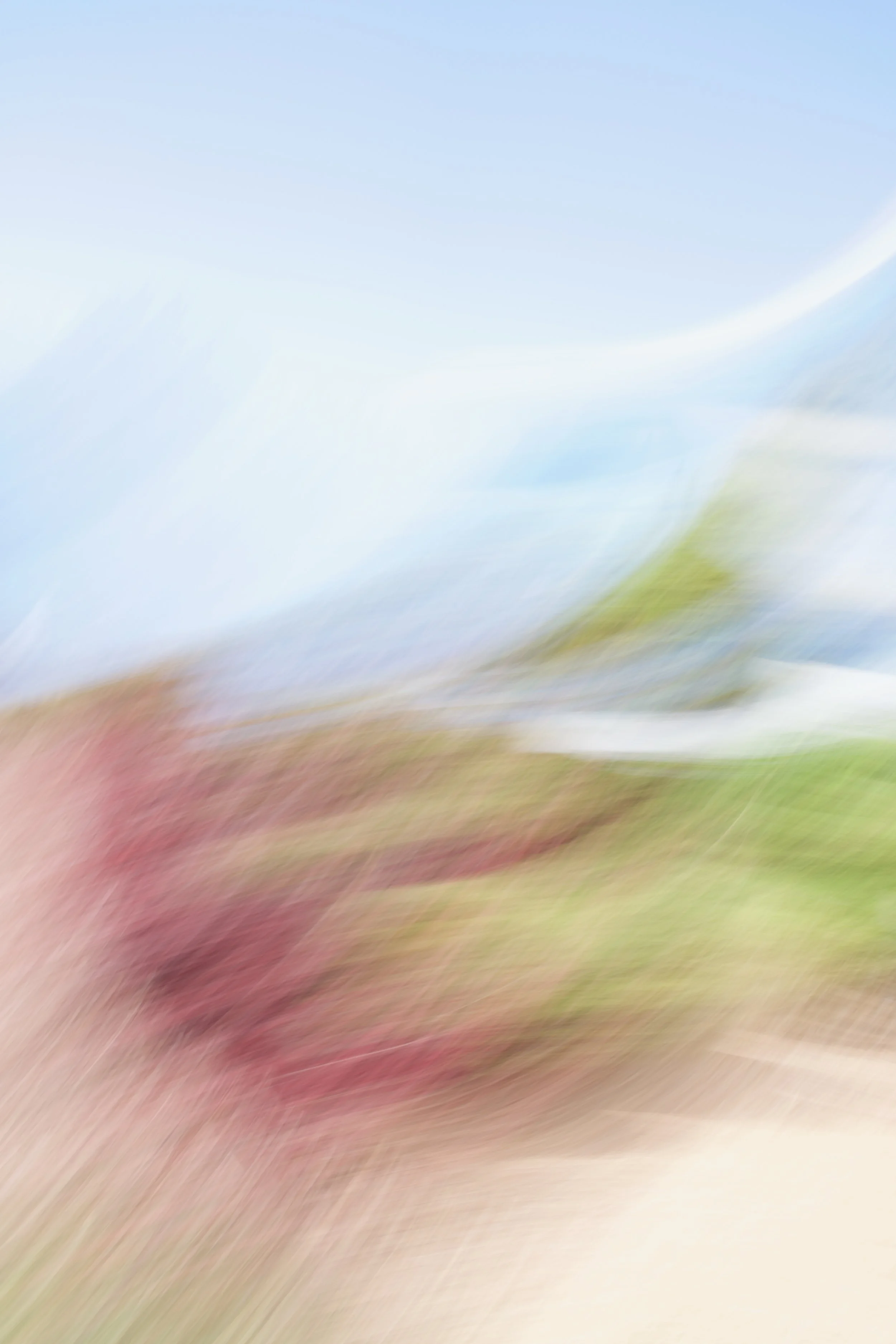  Movement 2023:281 (2023) C-print on wood panel, 60”x40” 