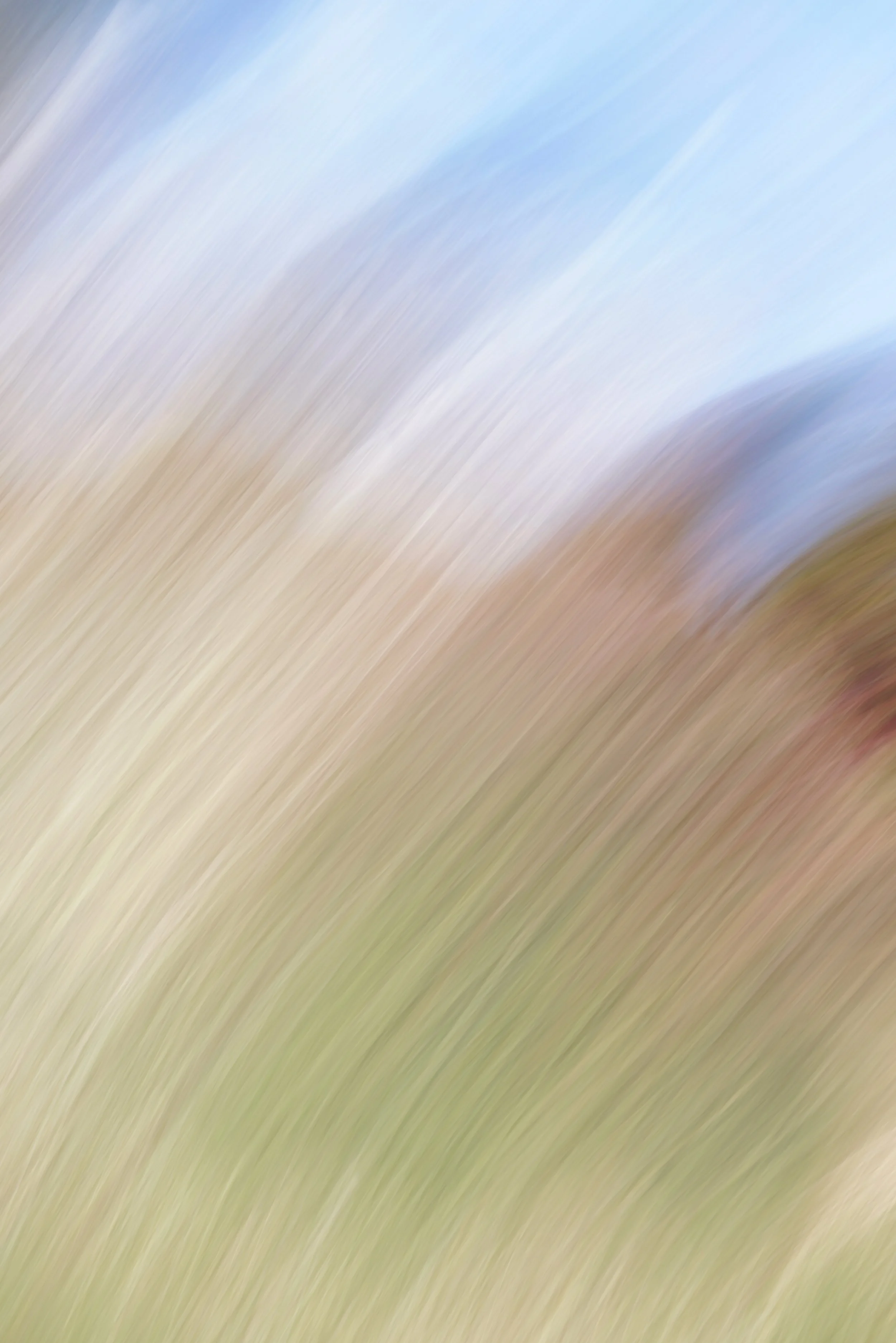  Movement 2023:282 (2023) C-print on wood panel, 60”x40” 