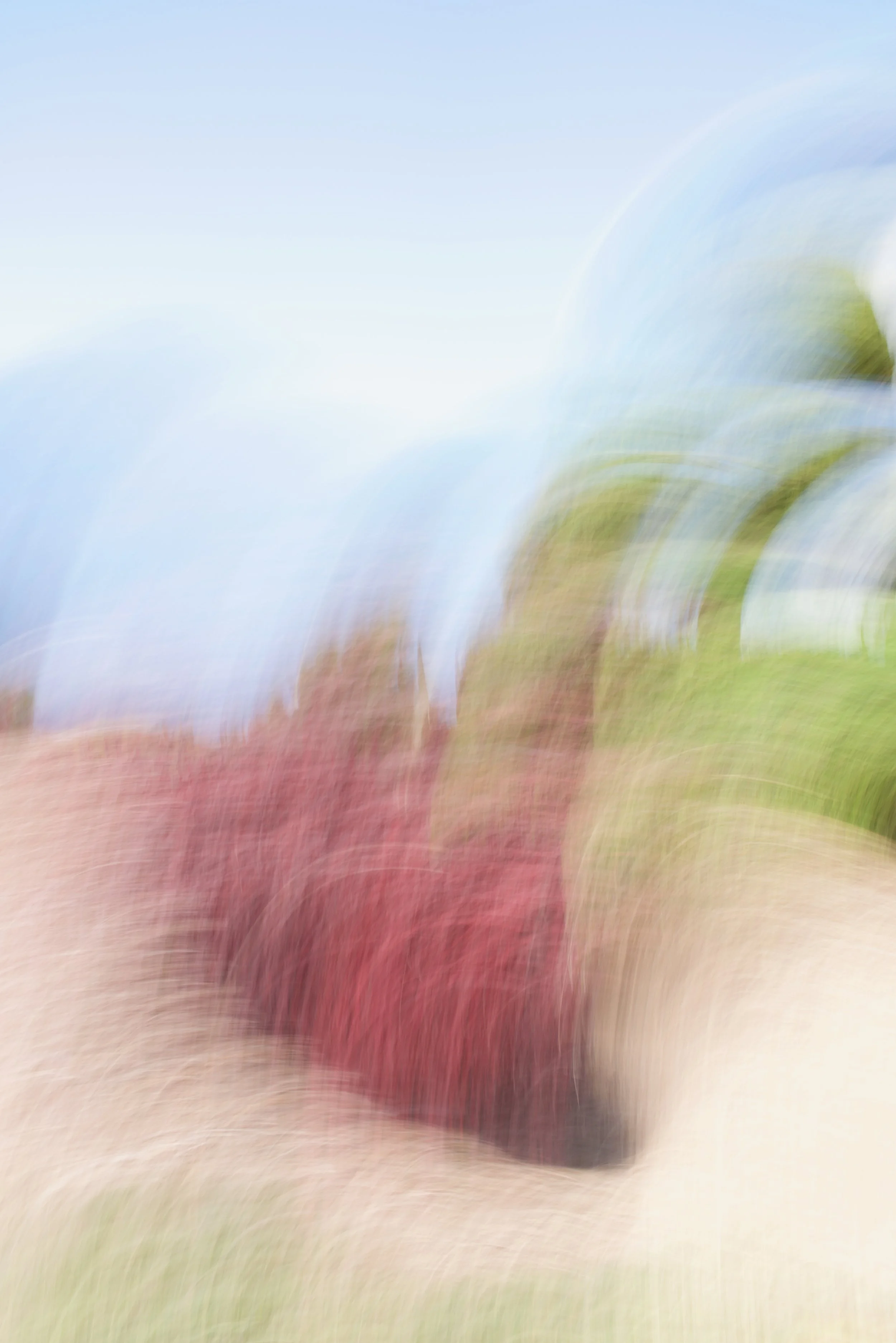  Movement 2023:283 (2023) C-print on wood panel, 60”x40” 