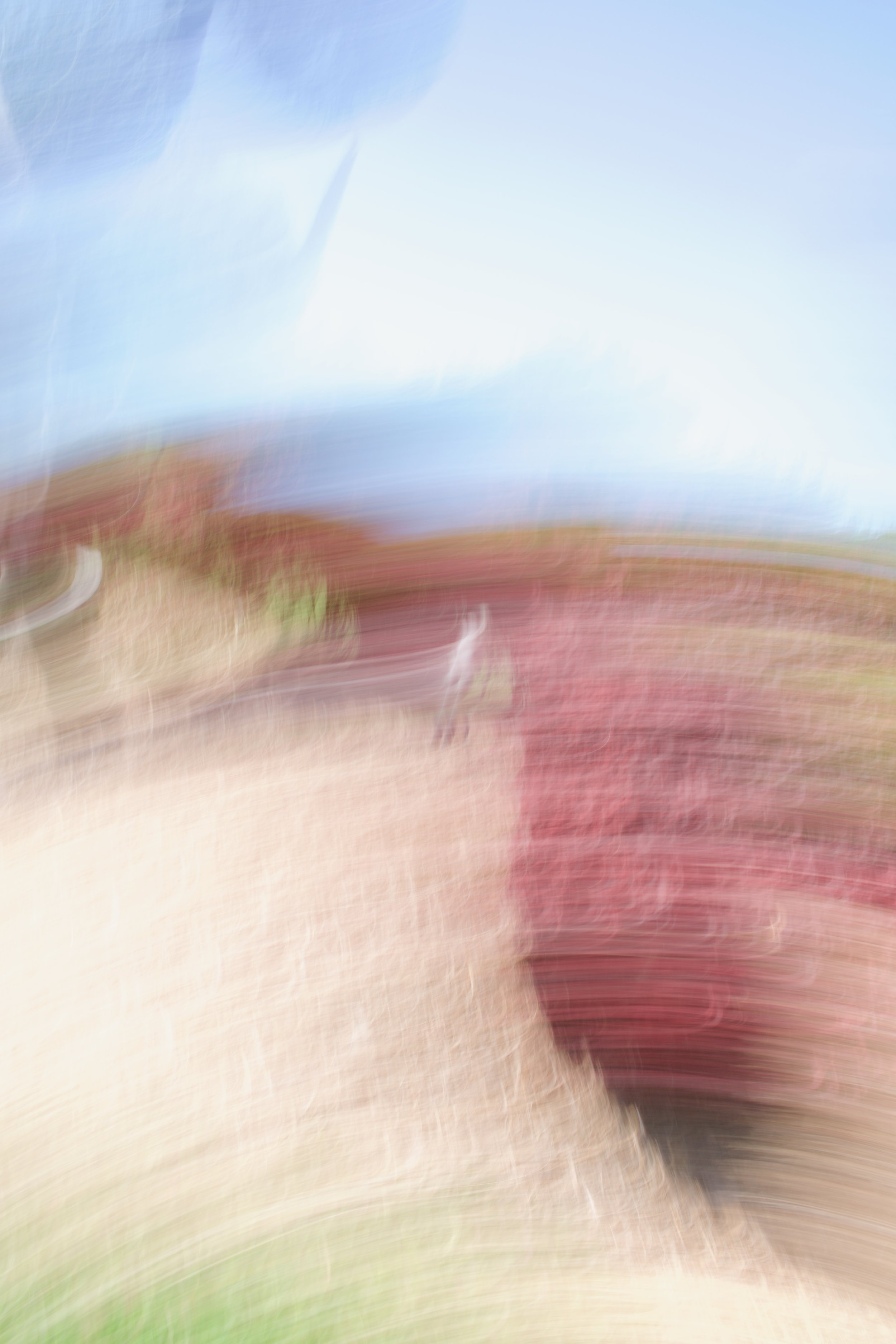  Movement 2023:285 (2023) C-print on wood panel, 60”x40” 