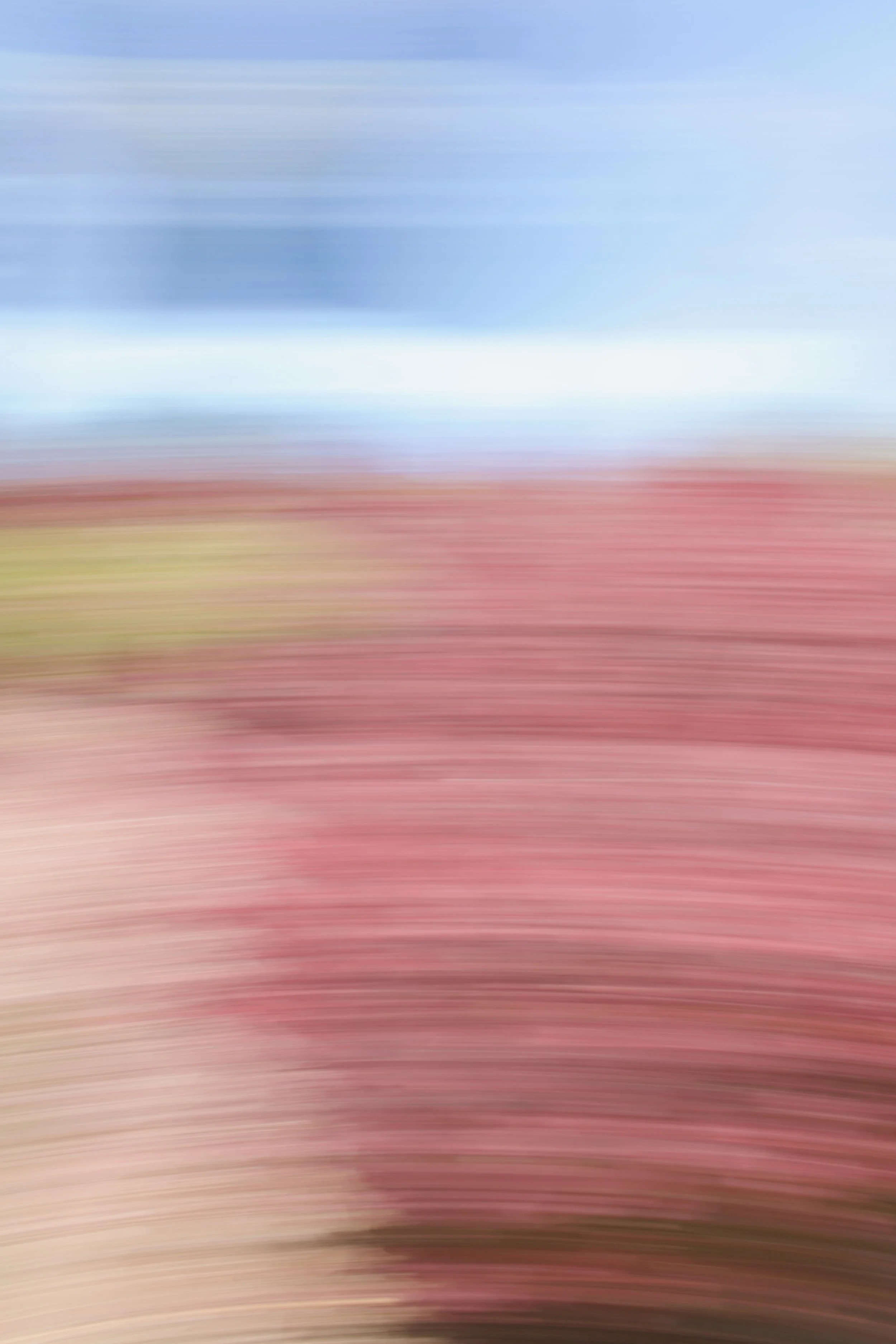  Movement 2023:287 (2023) C-print on wood panel, 60”x40” 