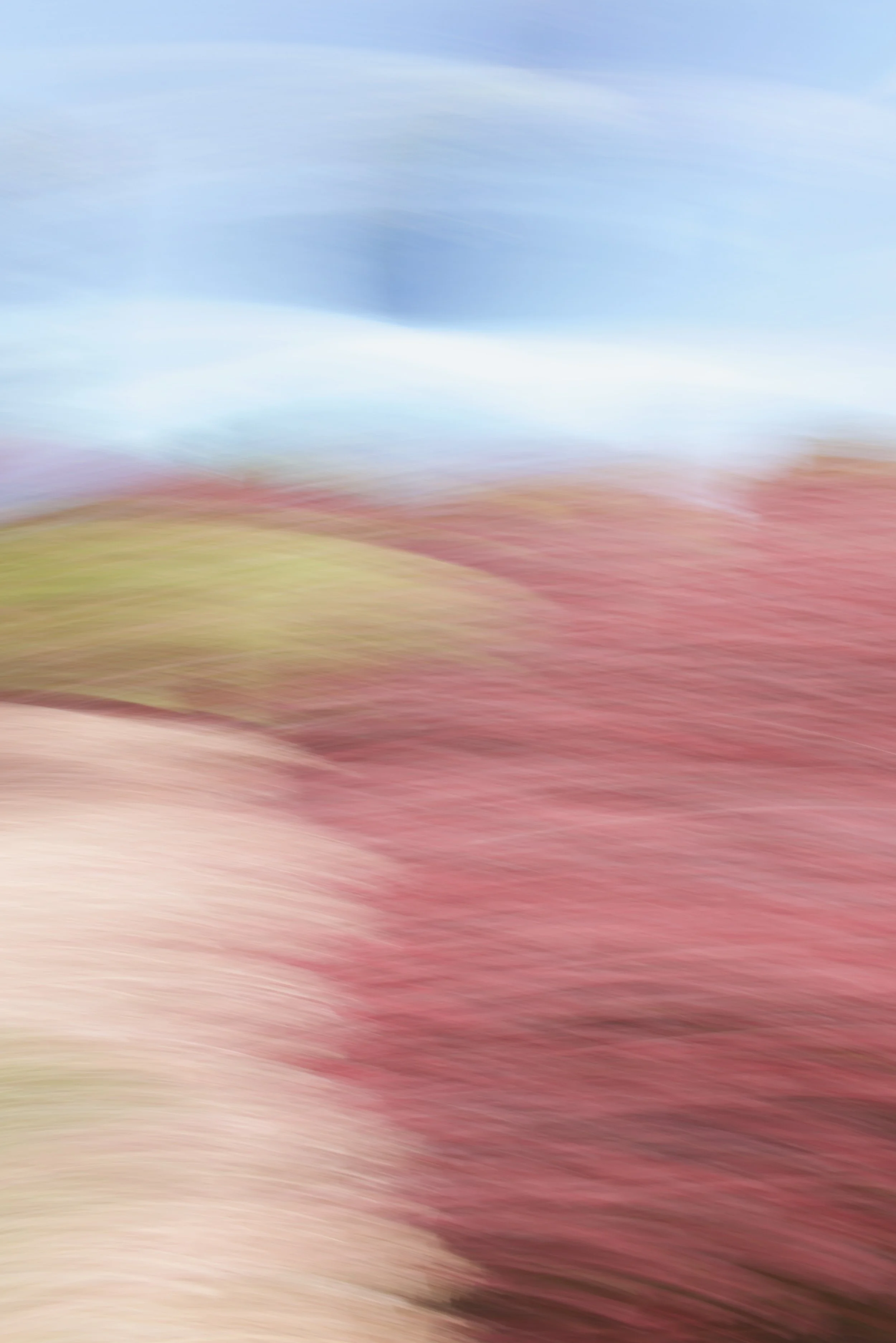  Movement 2023:289 (2023) C-print on wood panel, 60”x40” 