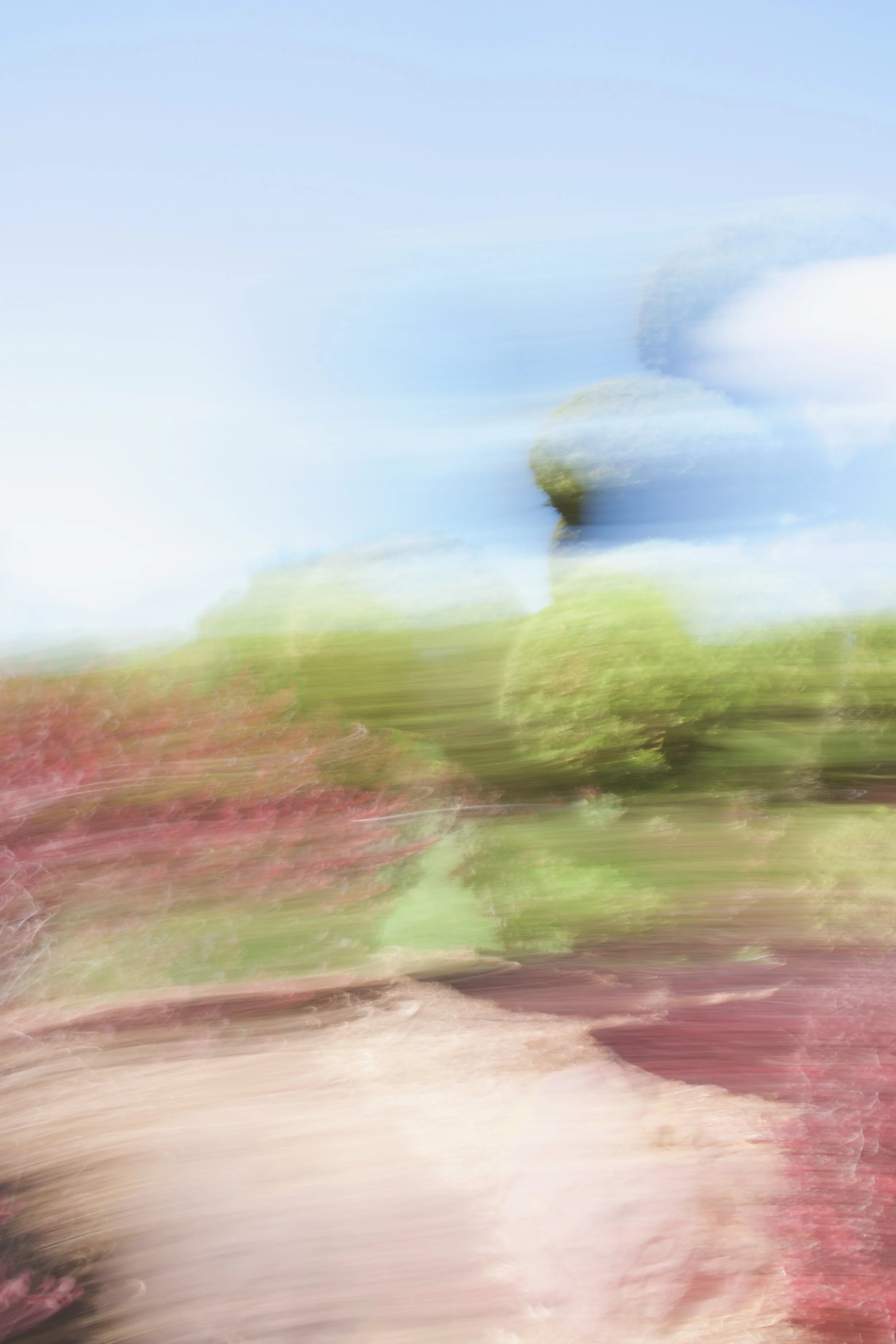  Movement 2023:290 (2023) C-print on wood panel, 60”x40” 