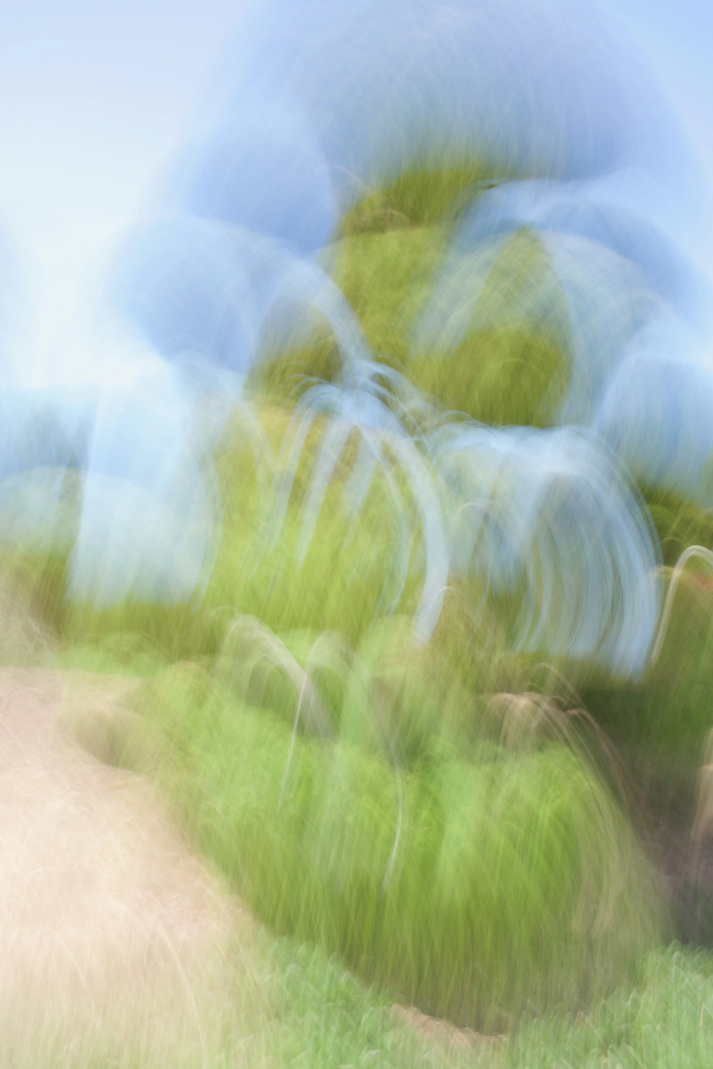  Movement 2023:293 (2023) C-print on wood panel, 60”x40” 