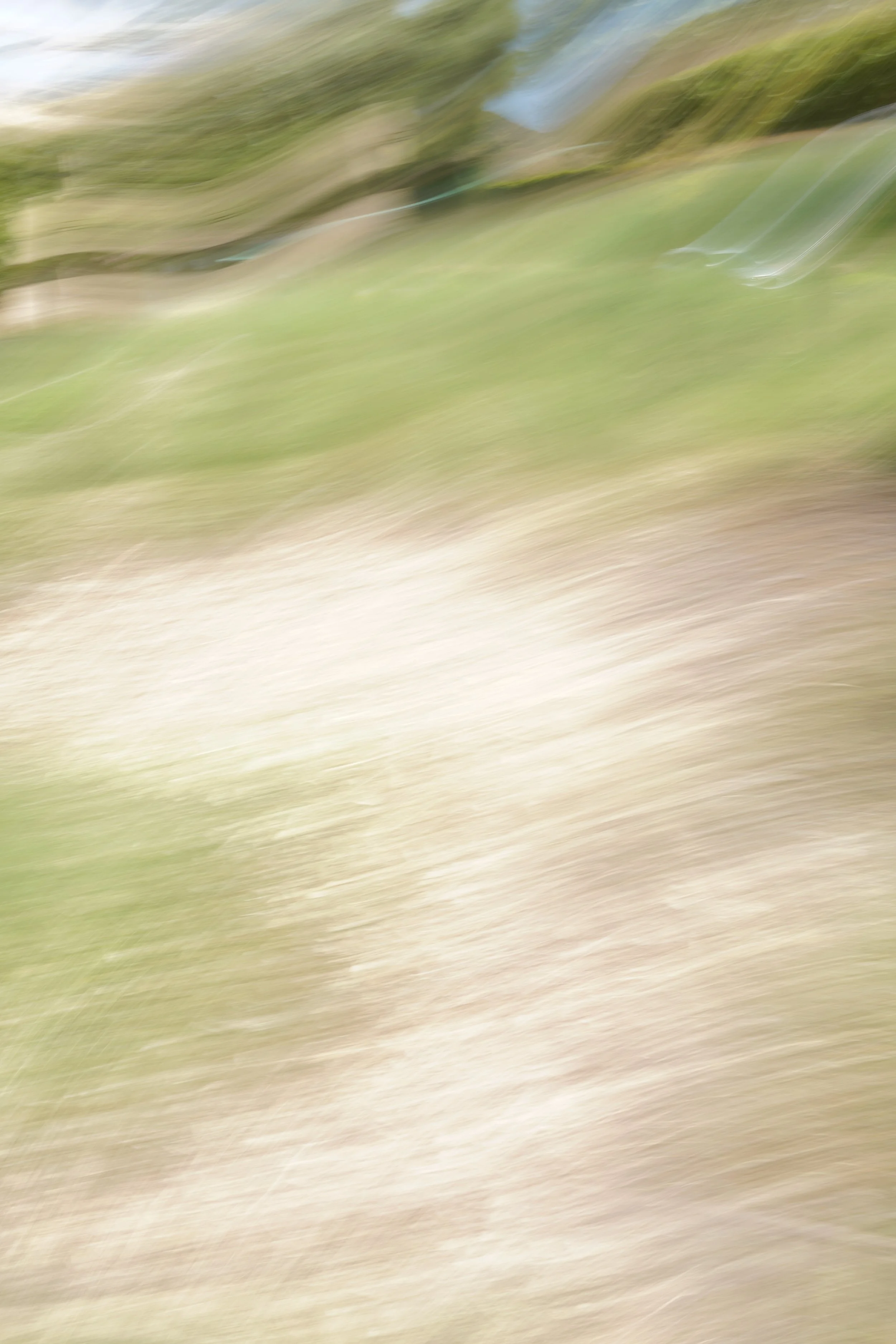  Movement 2023:294 (2023) C-print on wood panel, 60”x40” 