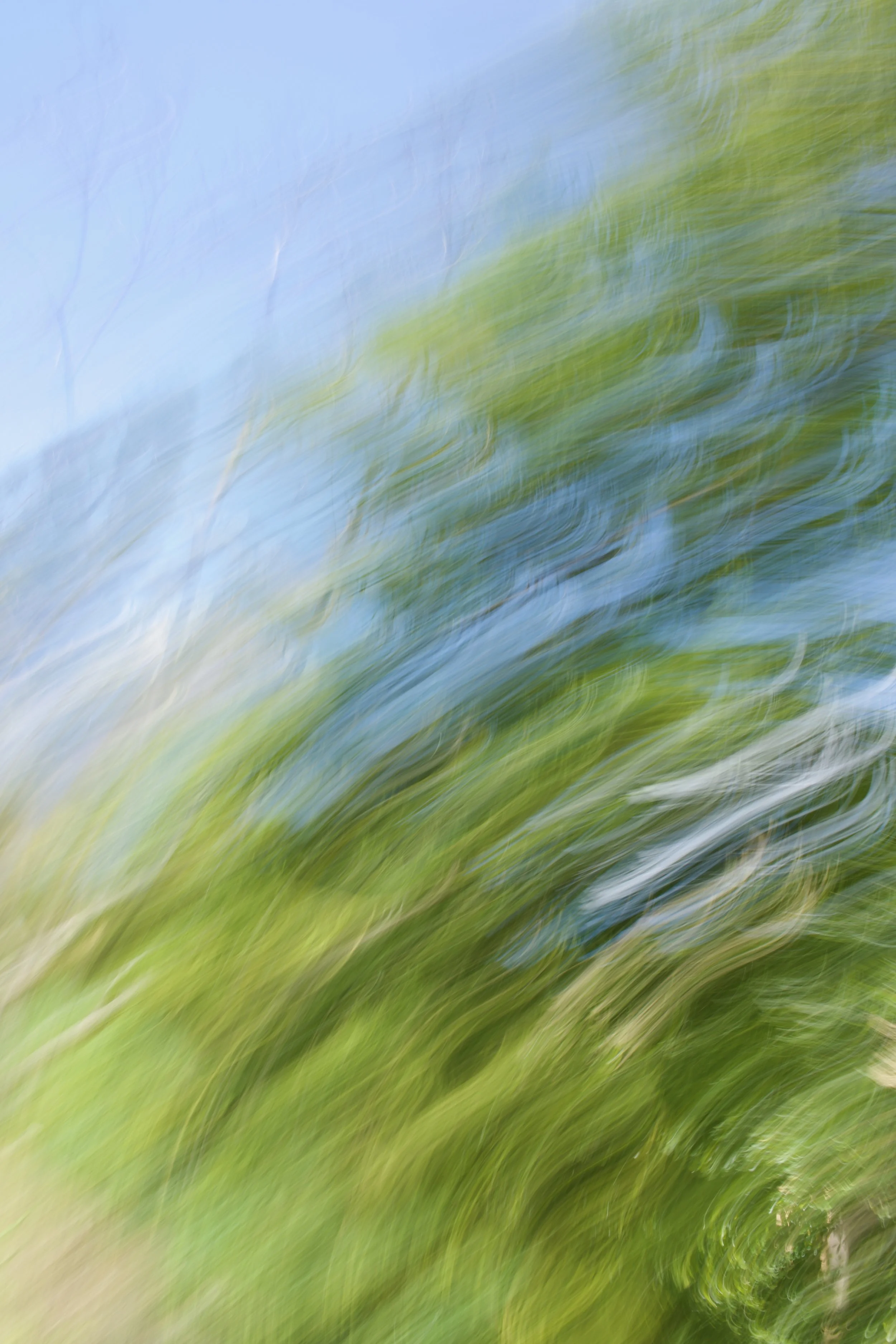  Movement 2023:296 (2023) C-print on wood panel, 60”x40” 