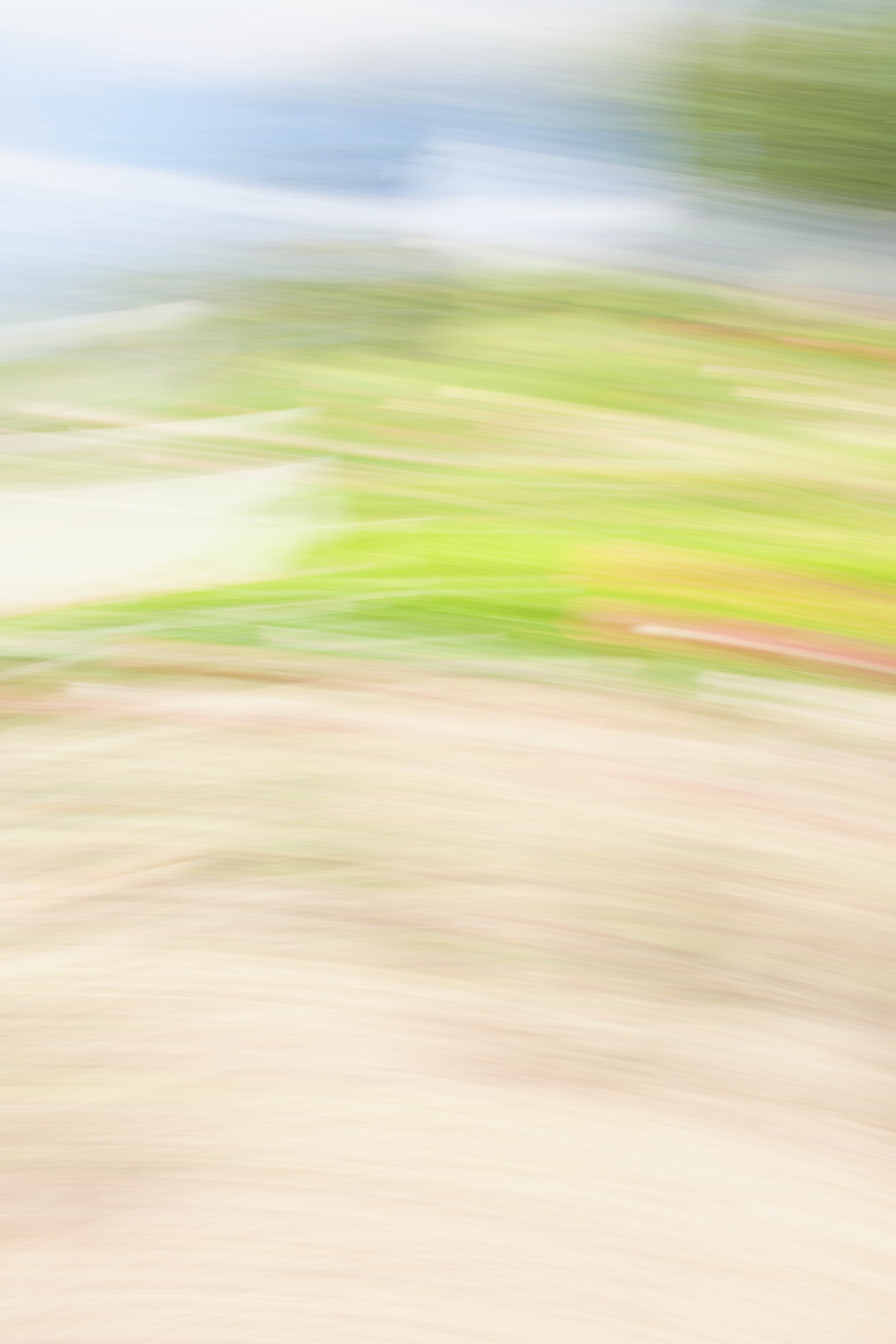  Movement 2023:298 (2023) C-print on wood panel, 60”x40” 