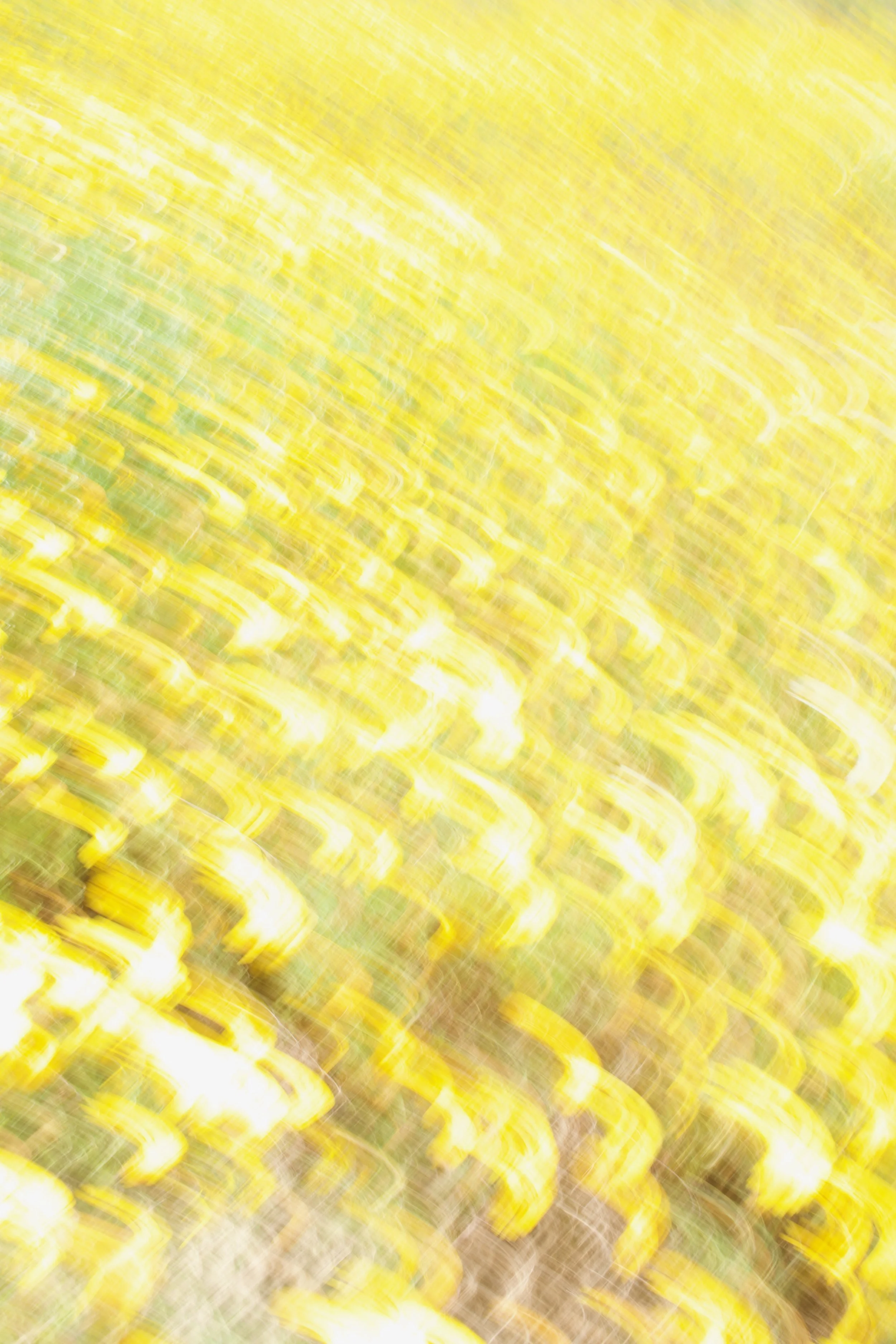  Movement 2023:300 (2023) C-print on wood panel, 60”x40” 