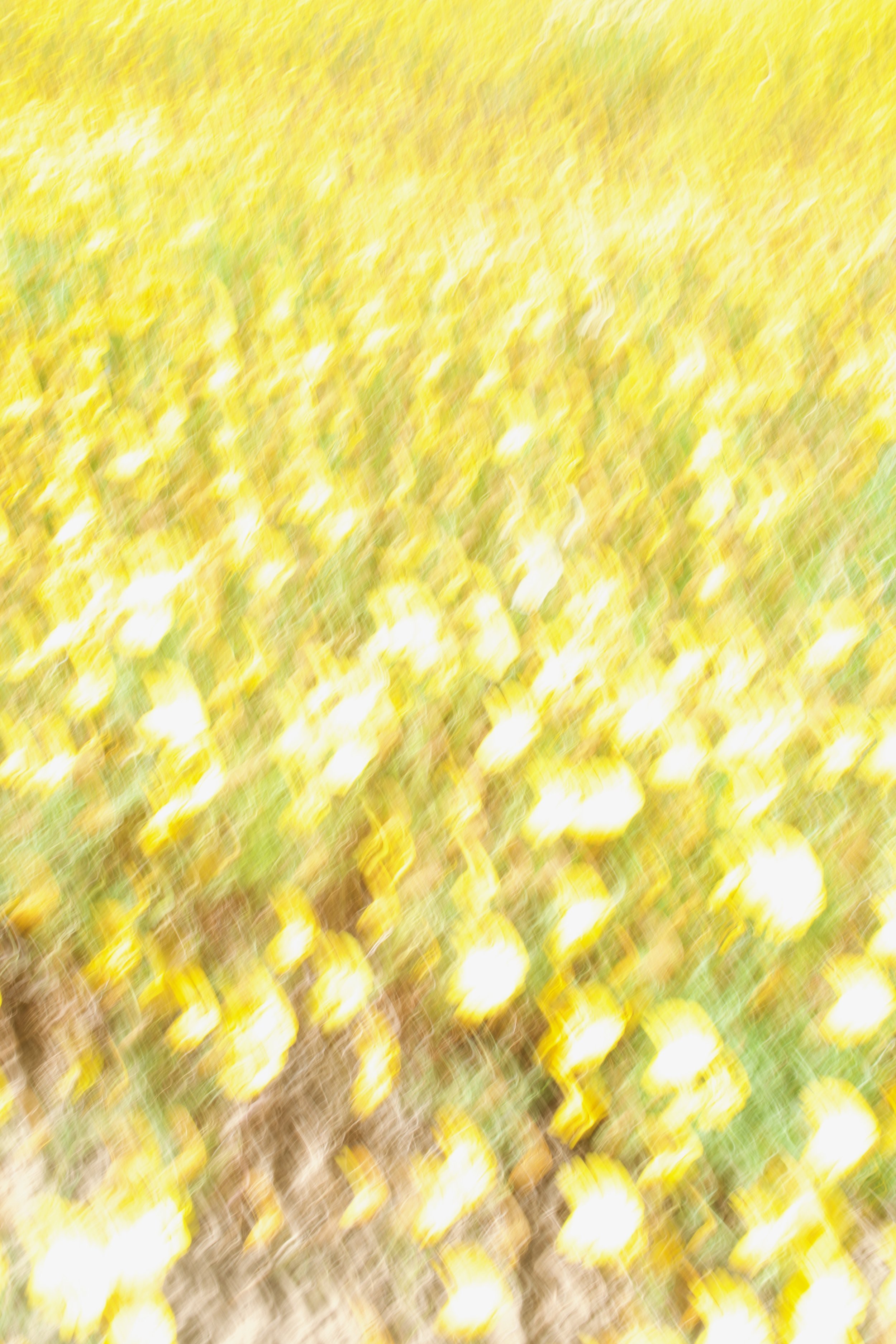  Movement 2023:301 (2023) C-print on wood panel, 60”x40” 