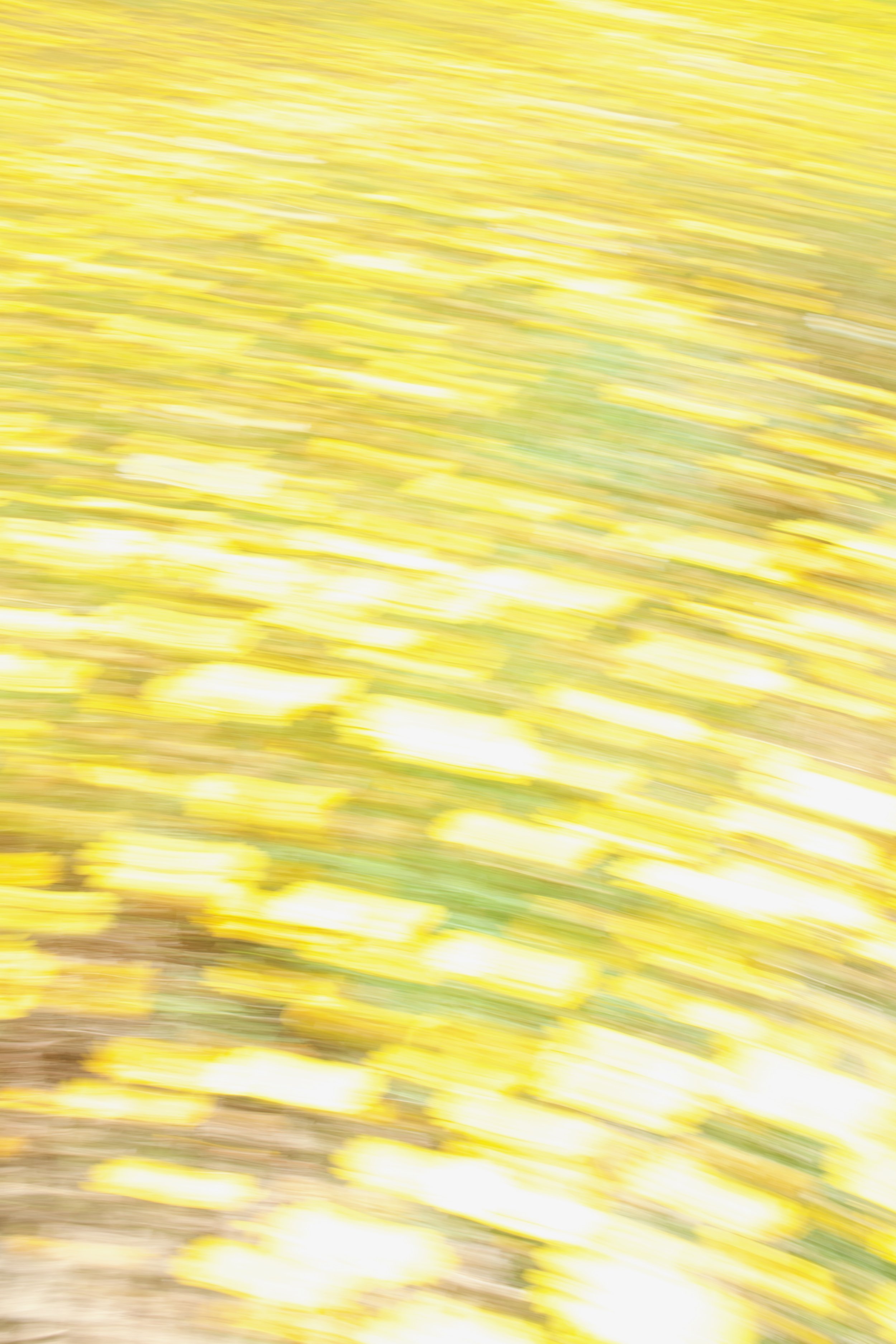  Movement 2023:302 (2023) C-print on wood panel, 60”x40” 