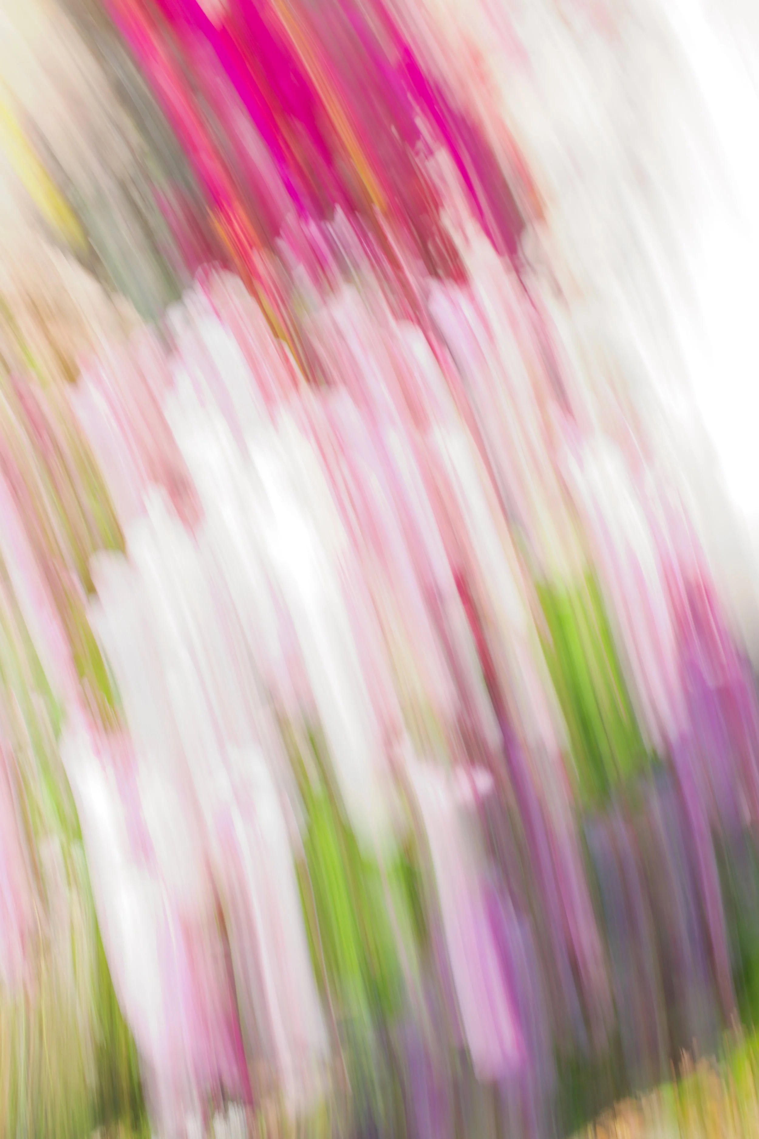  Movement 2023:303 (2023) C-print on wood panel, 60”x40” 