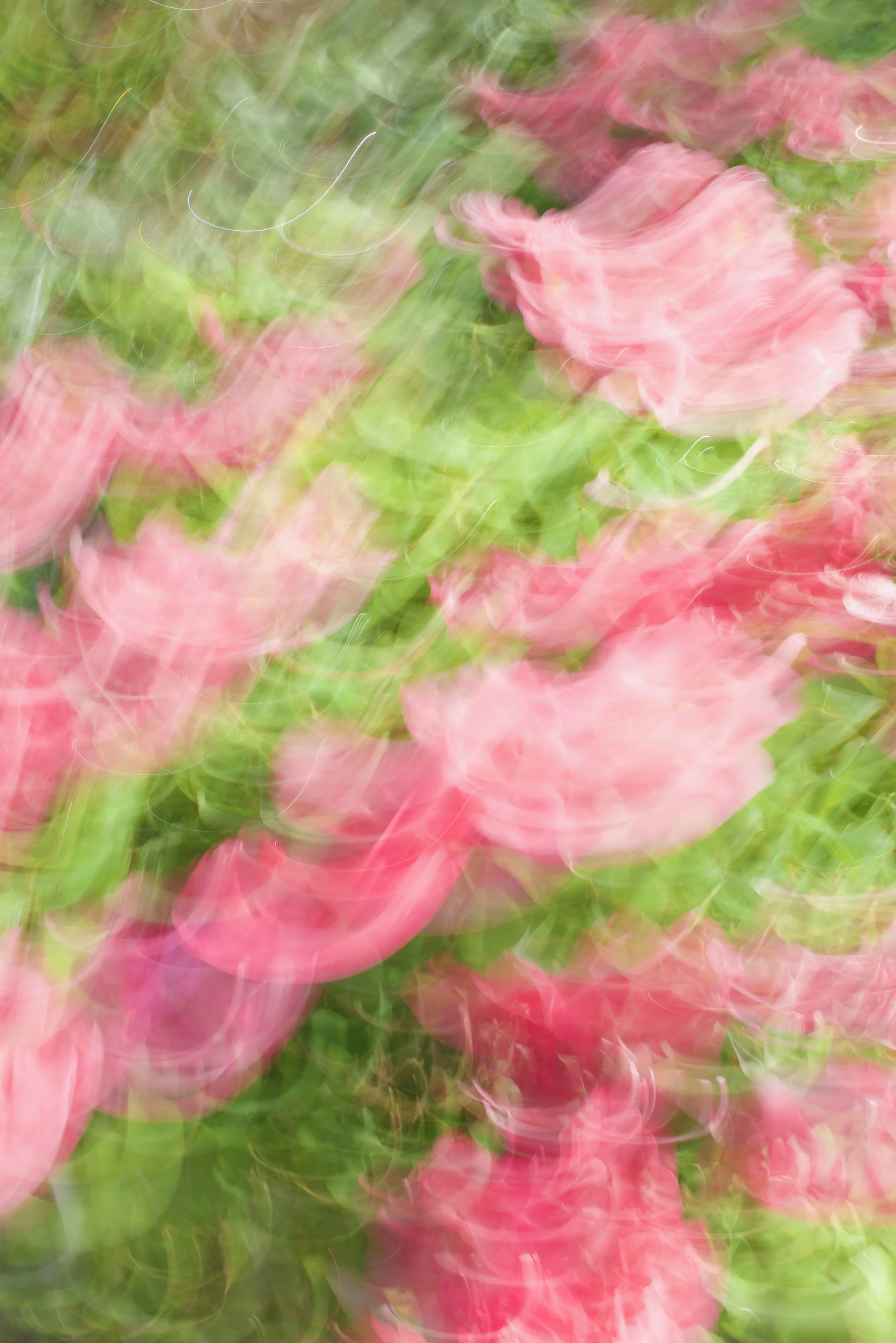  Movement 2023:304 (2023) C-print on wood panel, 60”x40” 