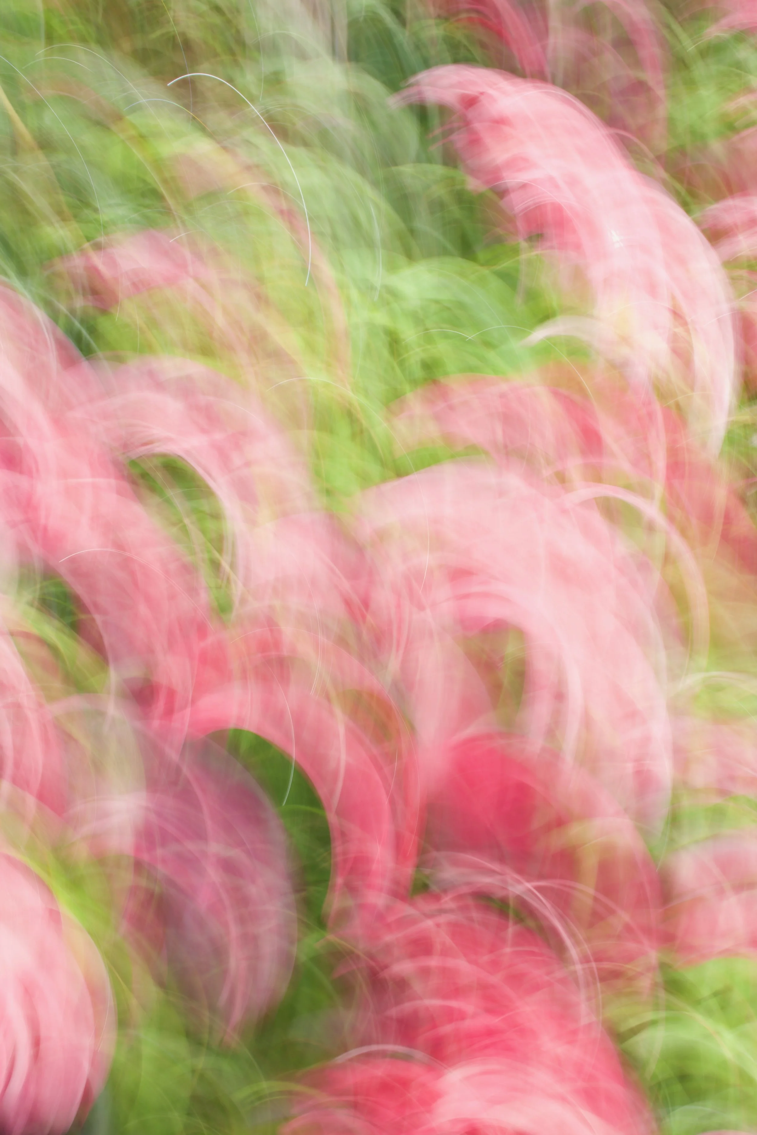  Movement 2023:305 (2023) C-print on wood panel, 60”x40” 