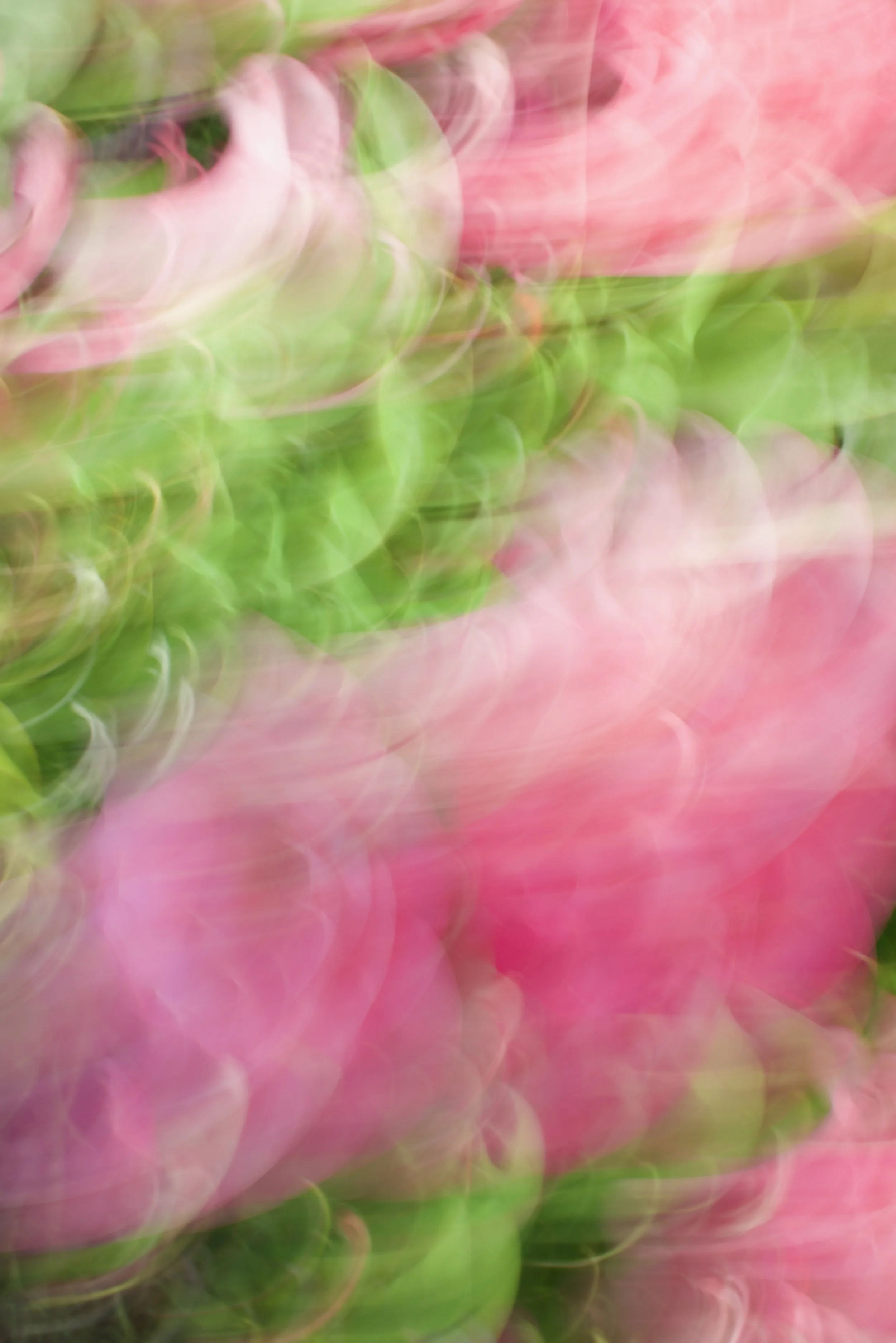  Movement 2023:307 (2023) C-print on wood panel, 60”x40” 