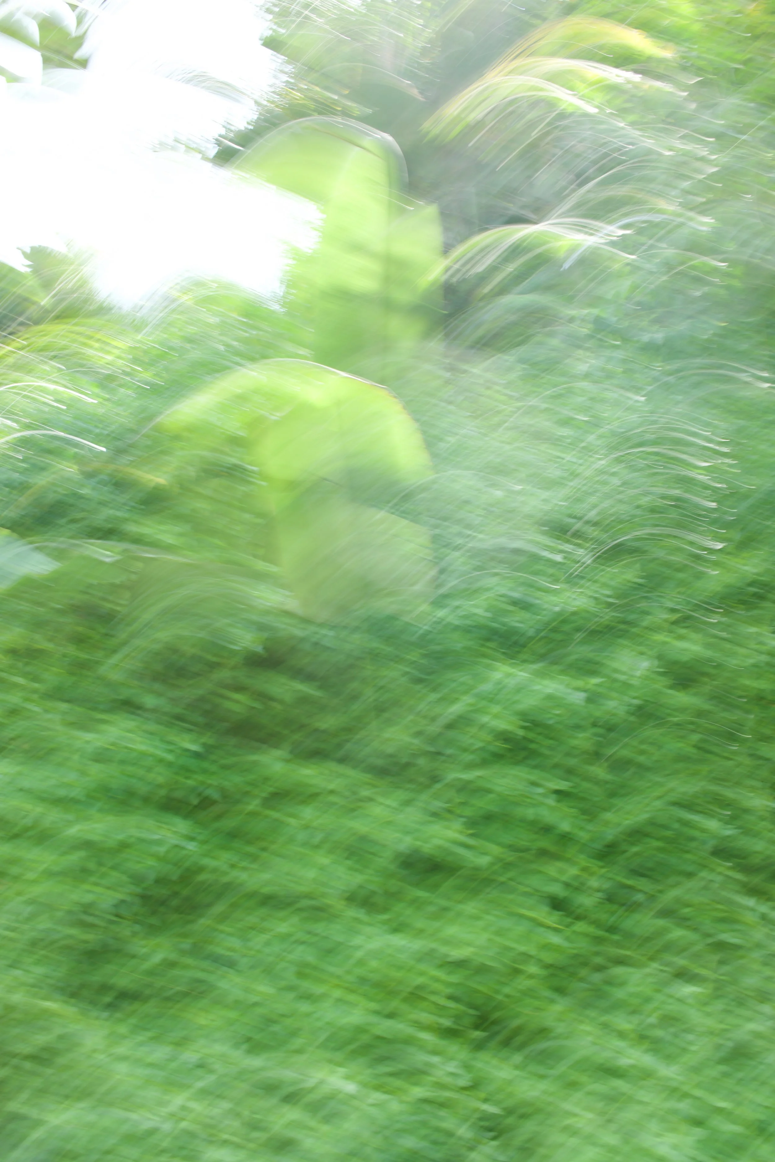  Movement 2023:311 (2023) C-print on wood panel, 60”x40” 