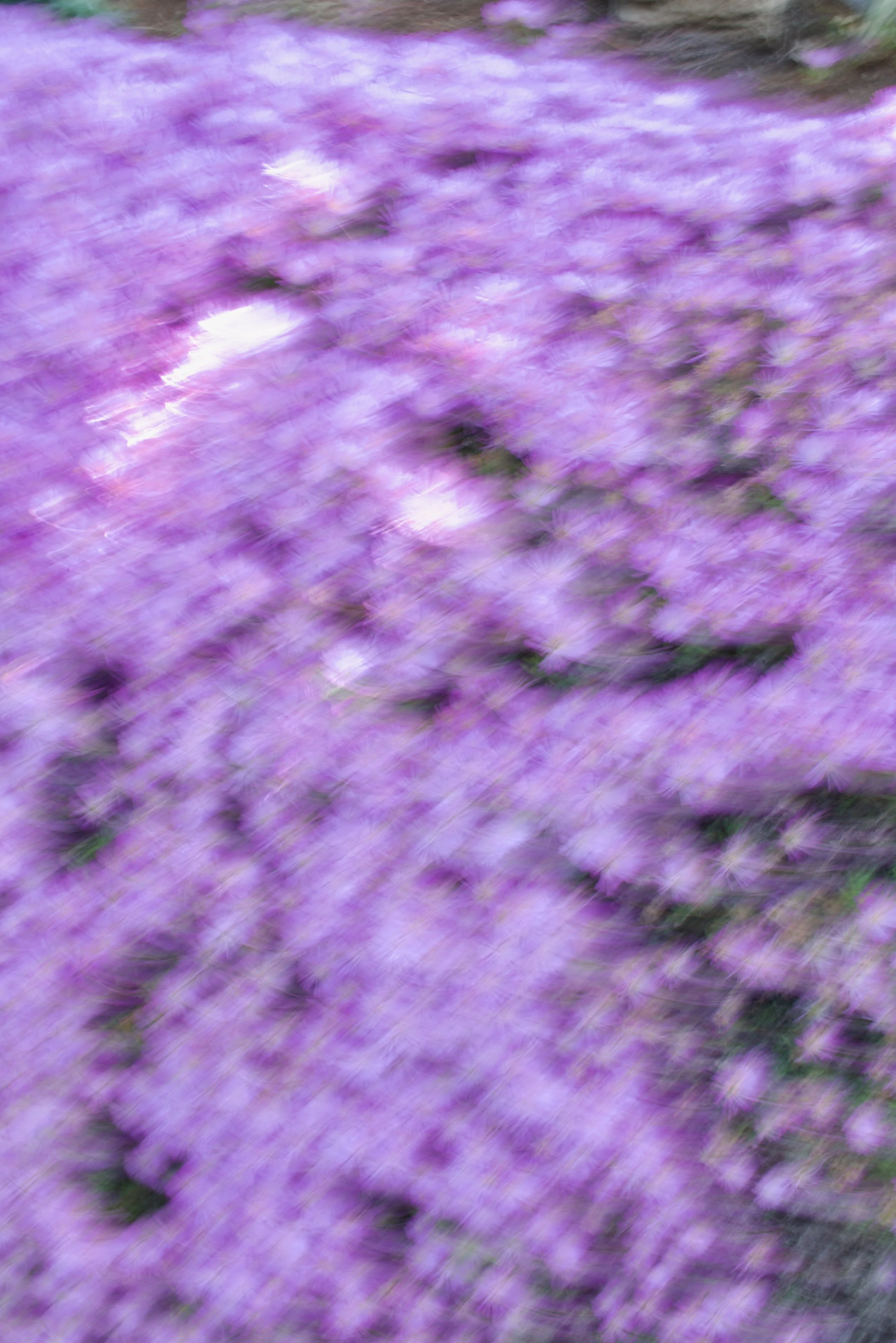  Movement 2023:312 (2023) C-print on wood panel, 60”x40” 