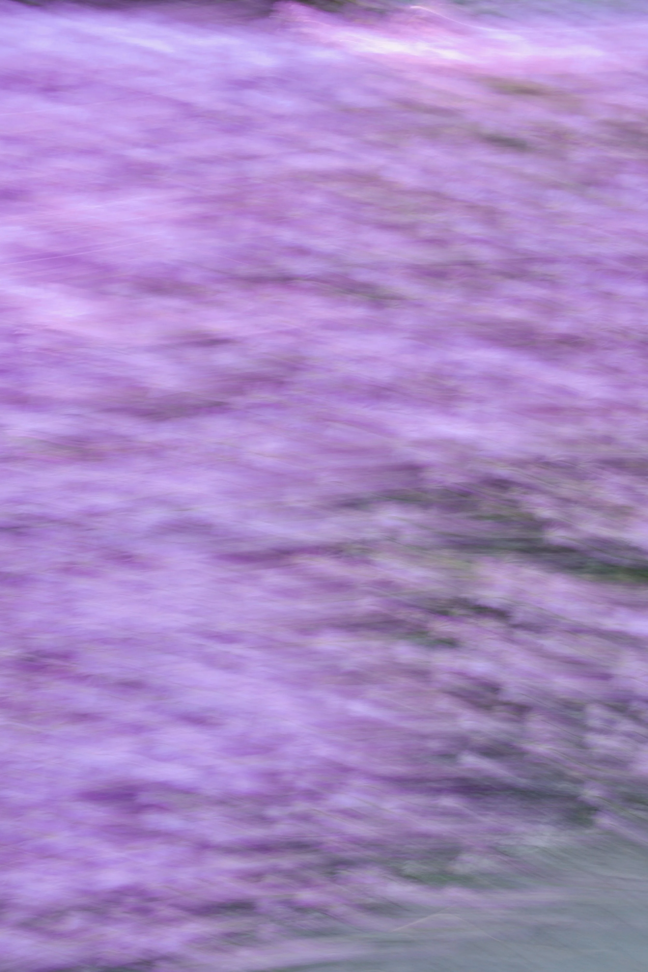  Movement 2023:313 (2023) C-print on wood panel, 60”x40” 