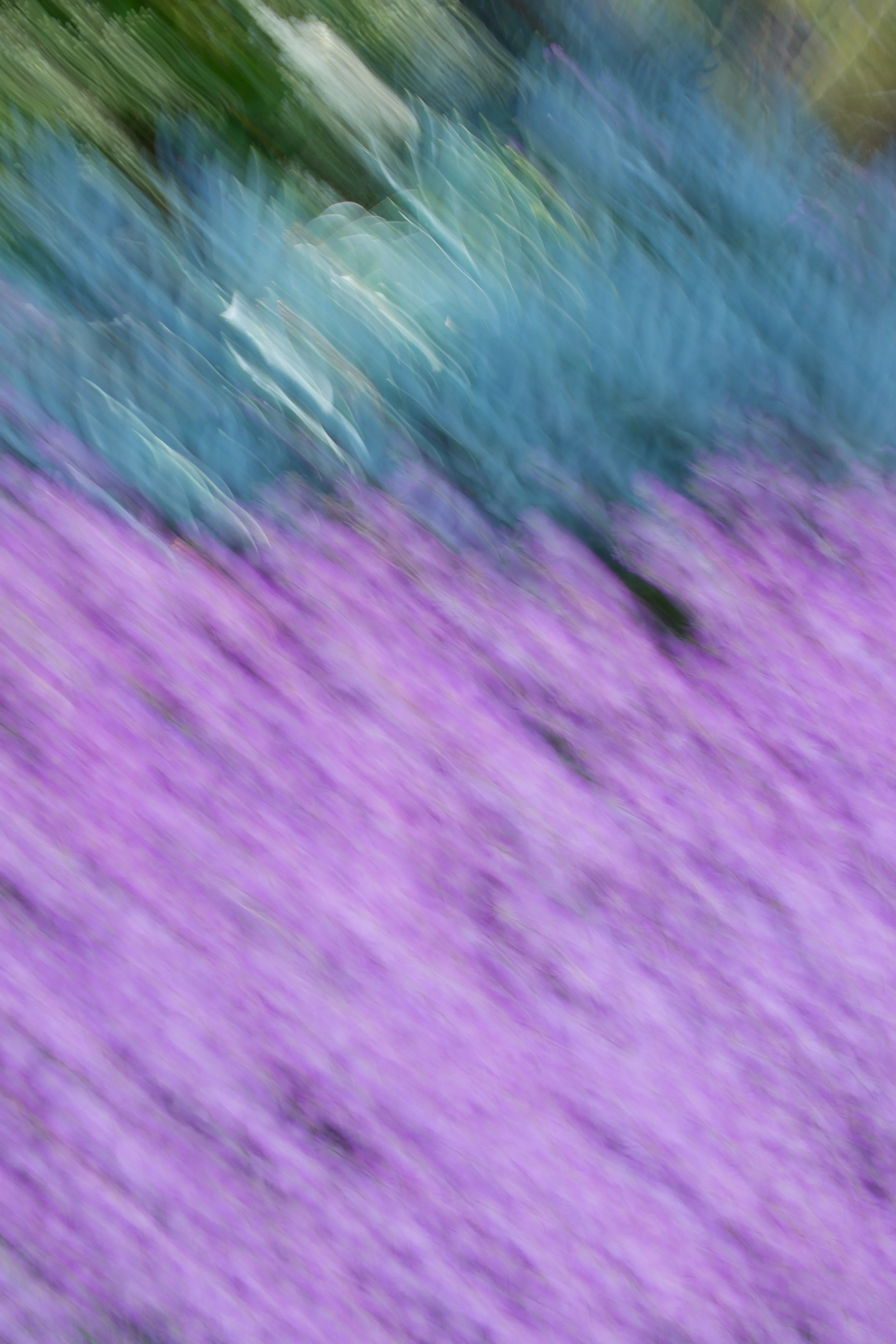  Movement 2023:314 (2023) C-print on wood panel, 60”x40” 