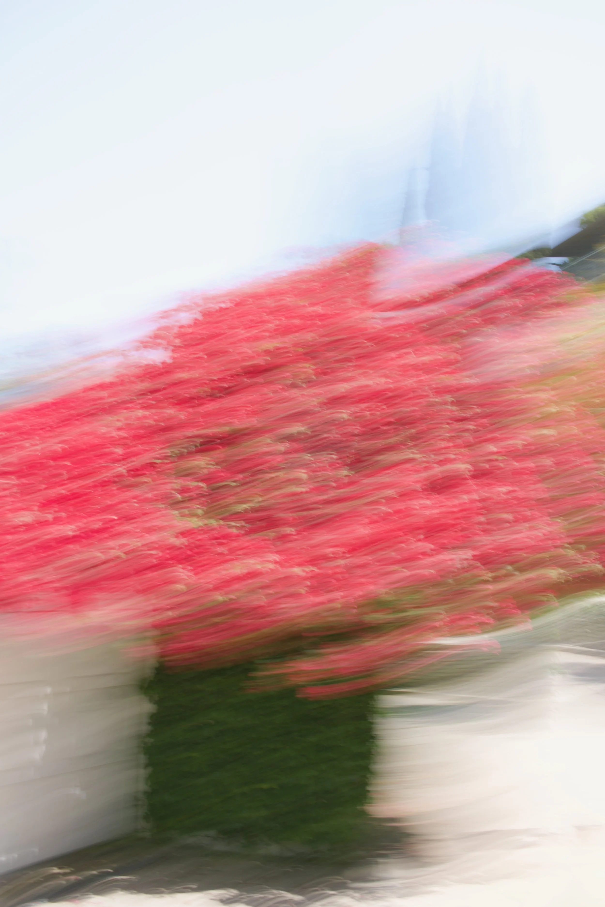  Movement 2023:315 (2023) C-print on wood panel, 60”x40” 