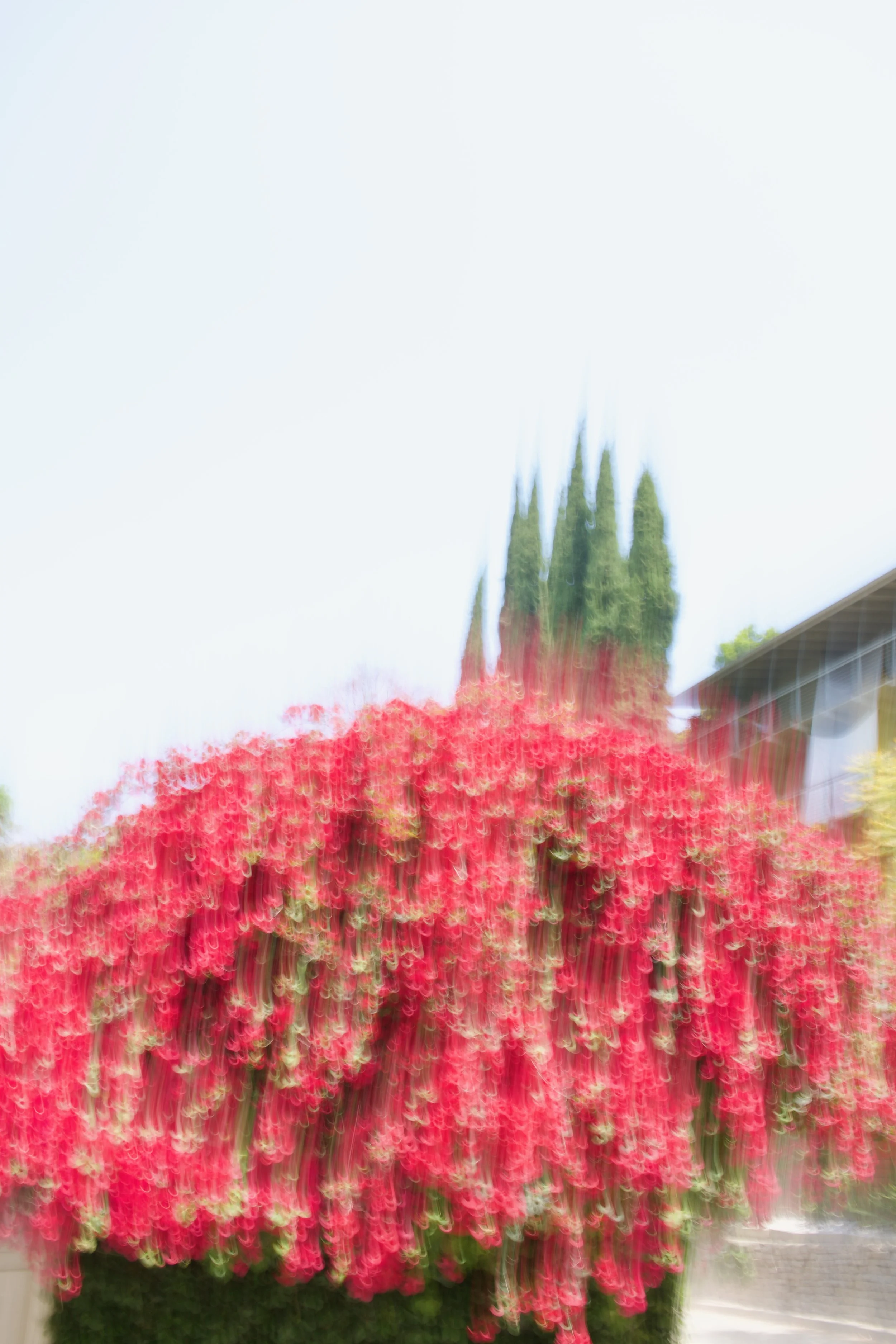  Movement 2023:316 (2023) C-print on wood panel, 60”x40” 