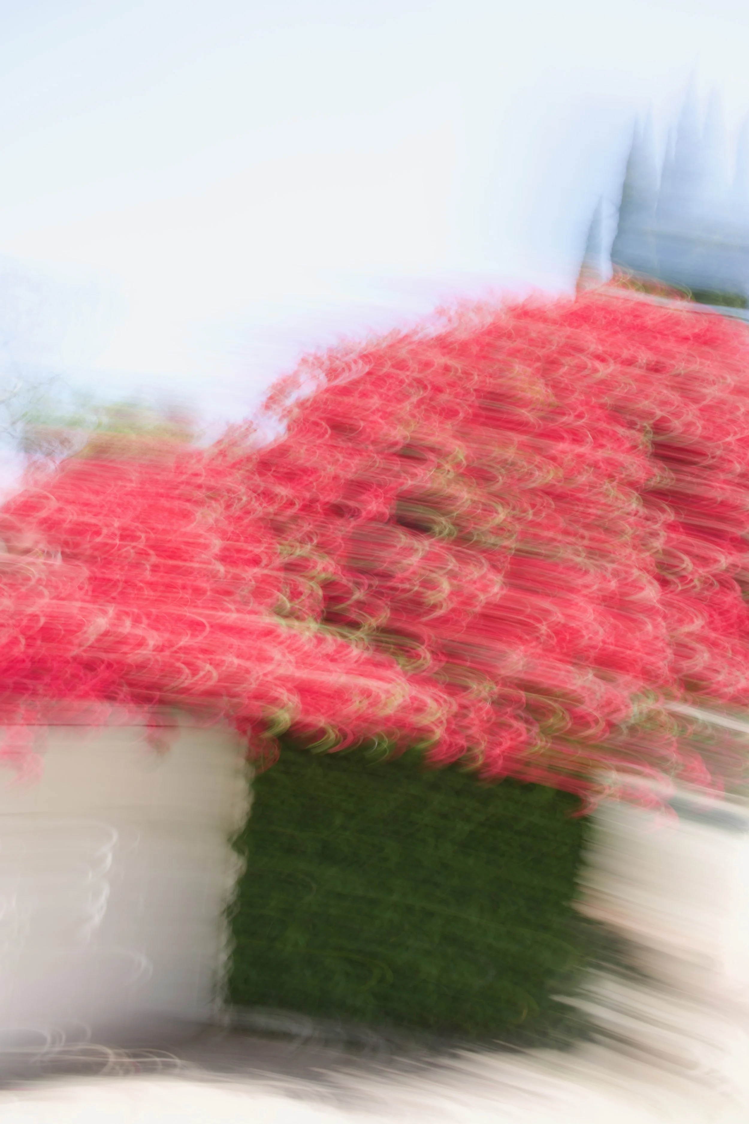  Movement 2023:317 (2023) C-print on wood panel, 60”x40” 