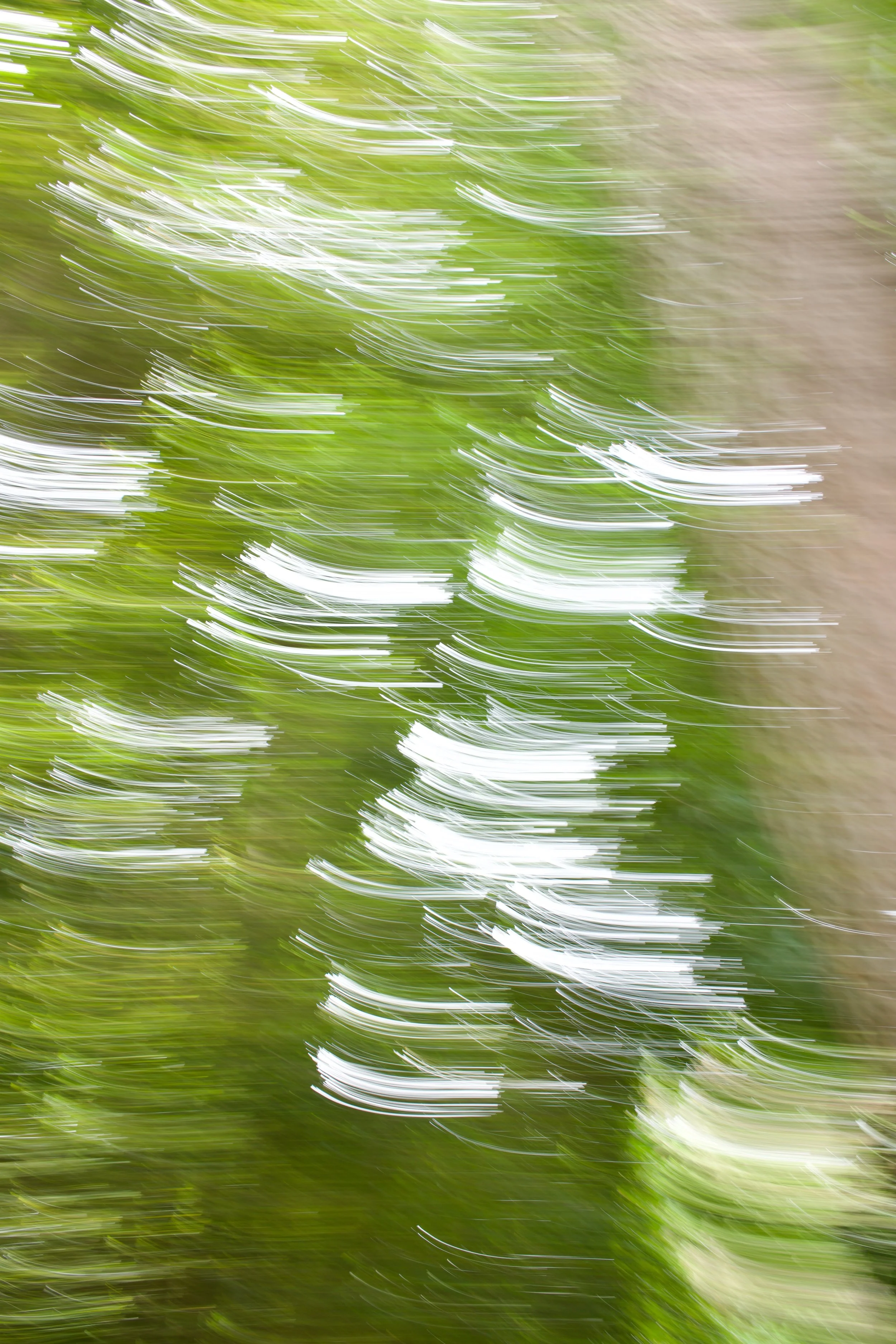  Movement 2023:319 (2023) C-print on wood panel, 60”x40” 