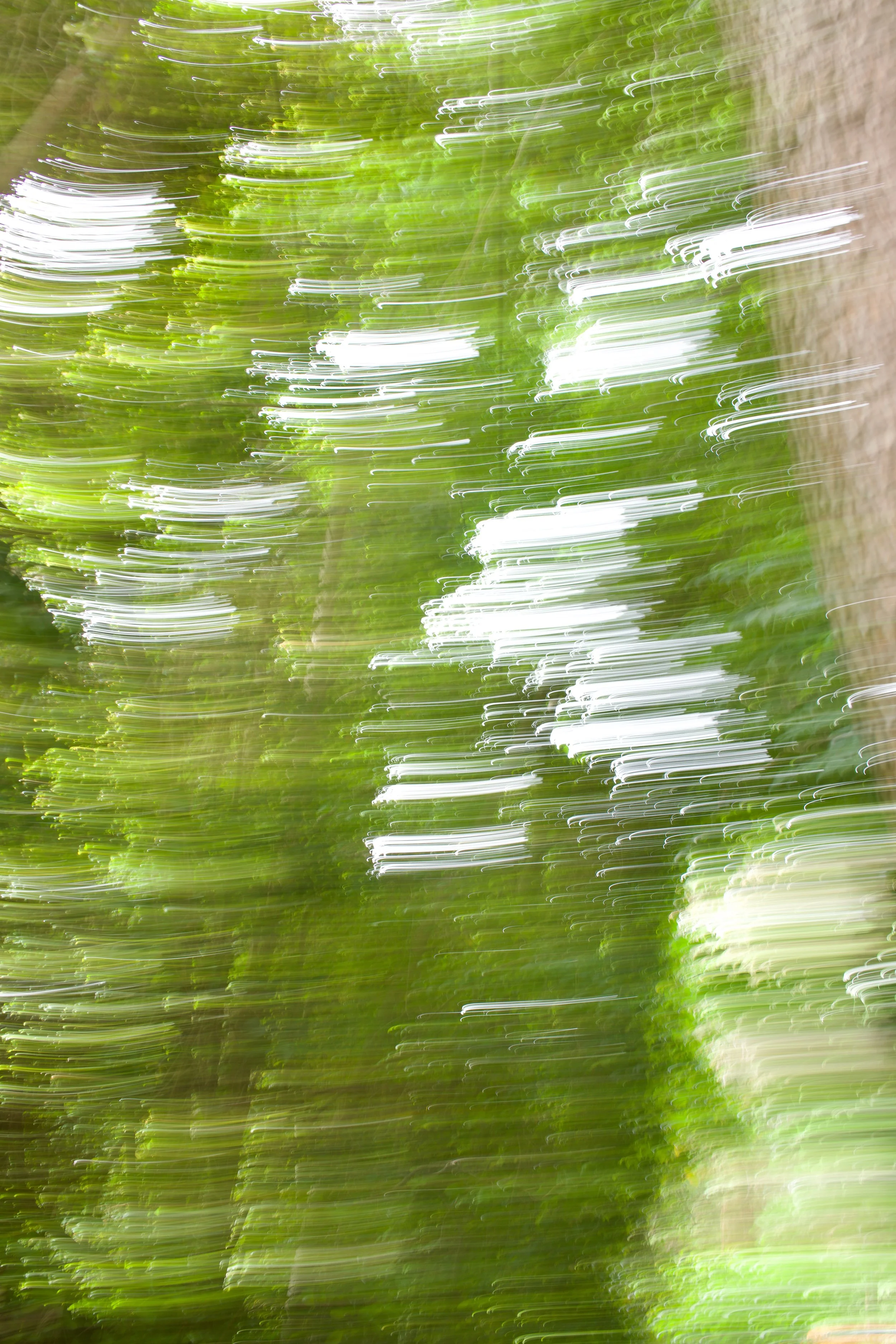  Movement 2023:320 (2023) C-print on wood panel, 60”x40” 