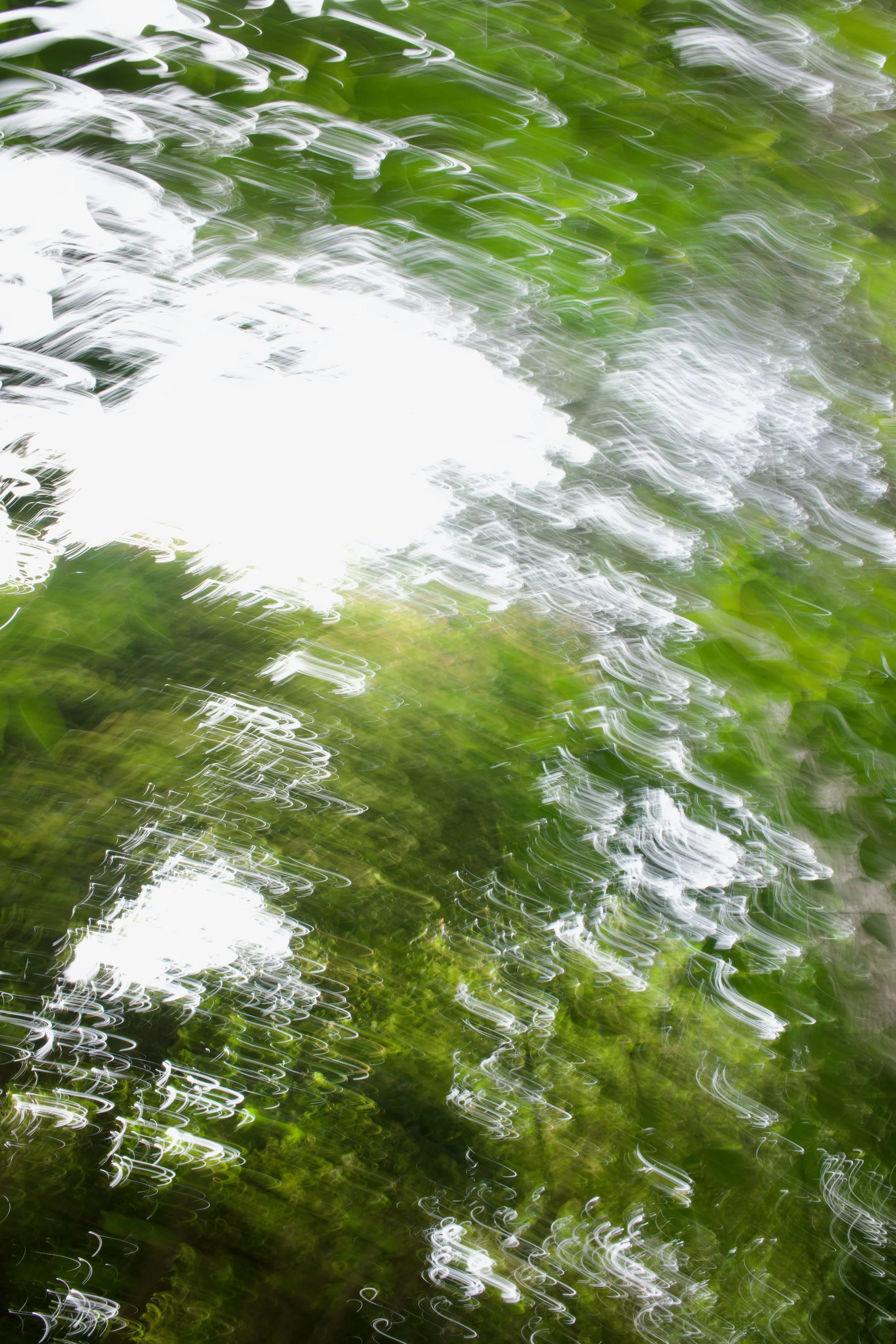  Movement 2023:322 (2023) C-print on wood panel, 60”x40” 