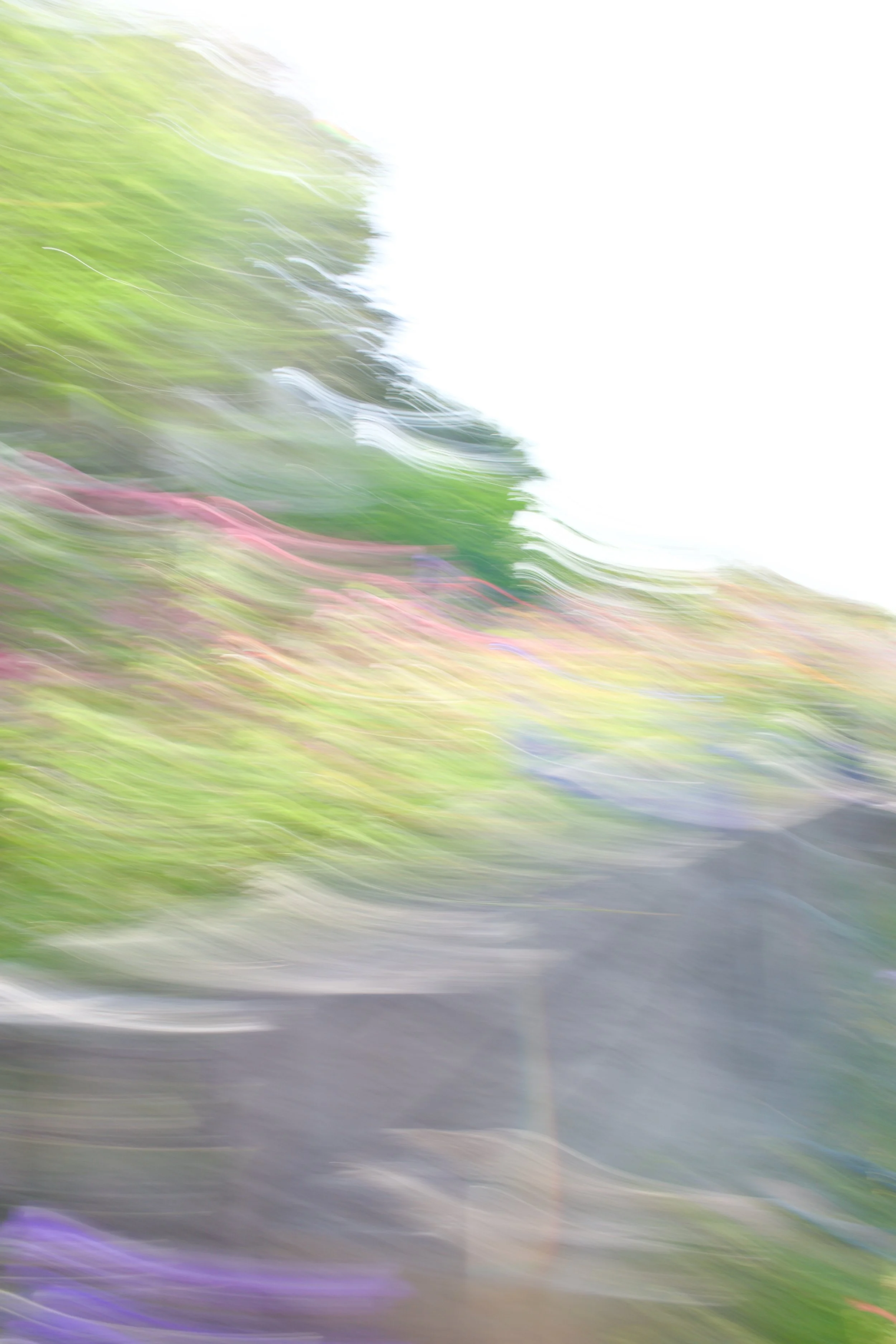  Movement 2023:323 (2023) C-print on wood panel, 60”x40” 