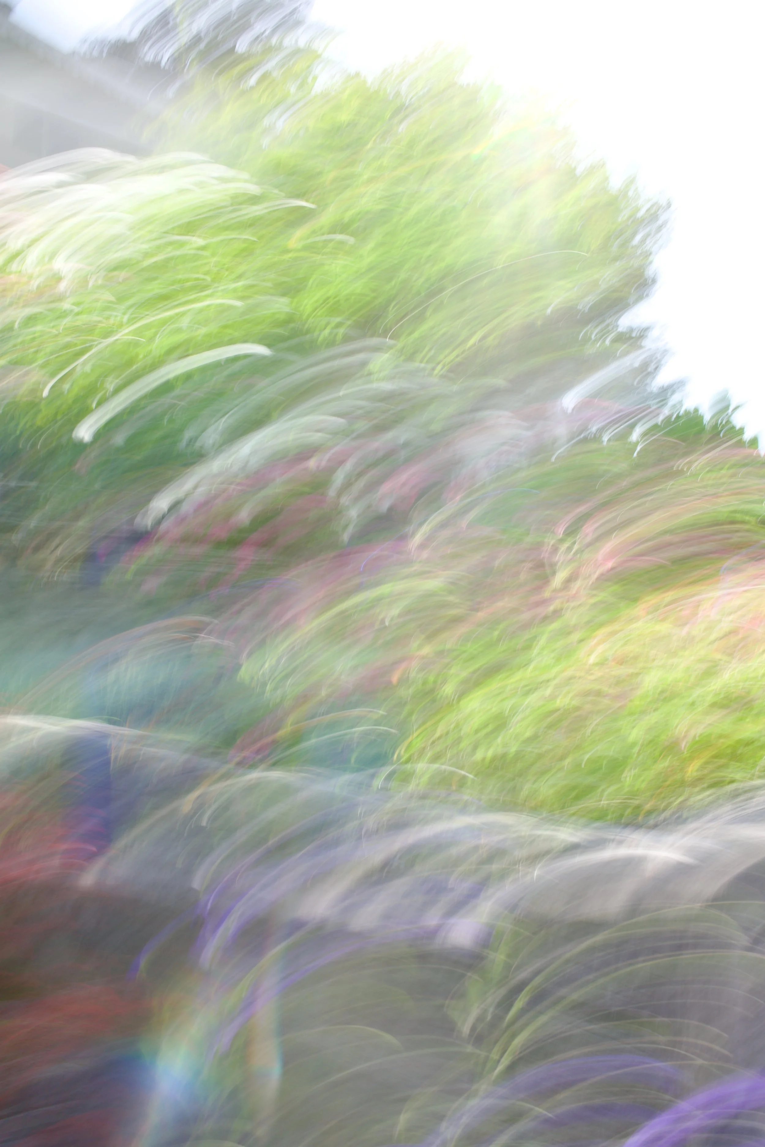  Movement 2023:324 (2023) C-print on wood panel, 60”x40” 