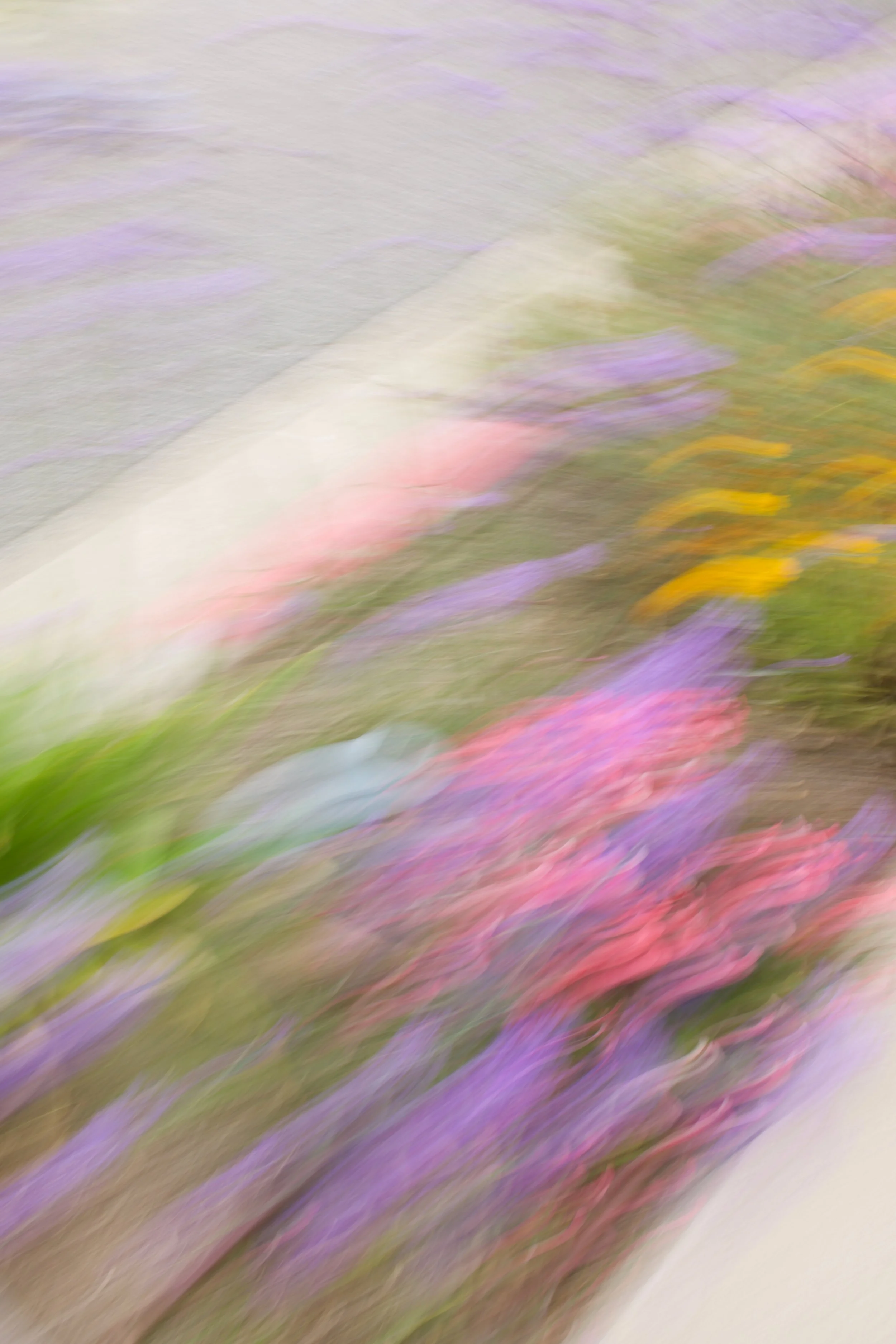  Movement 2023:329 (2023) C-print on wood panel, 60”x40” 