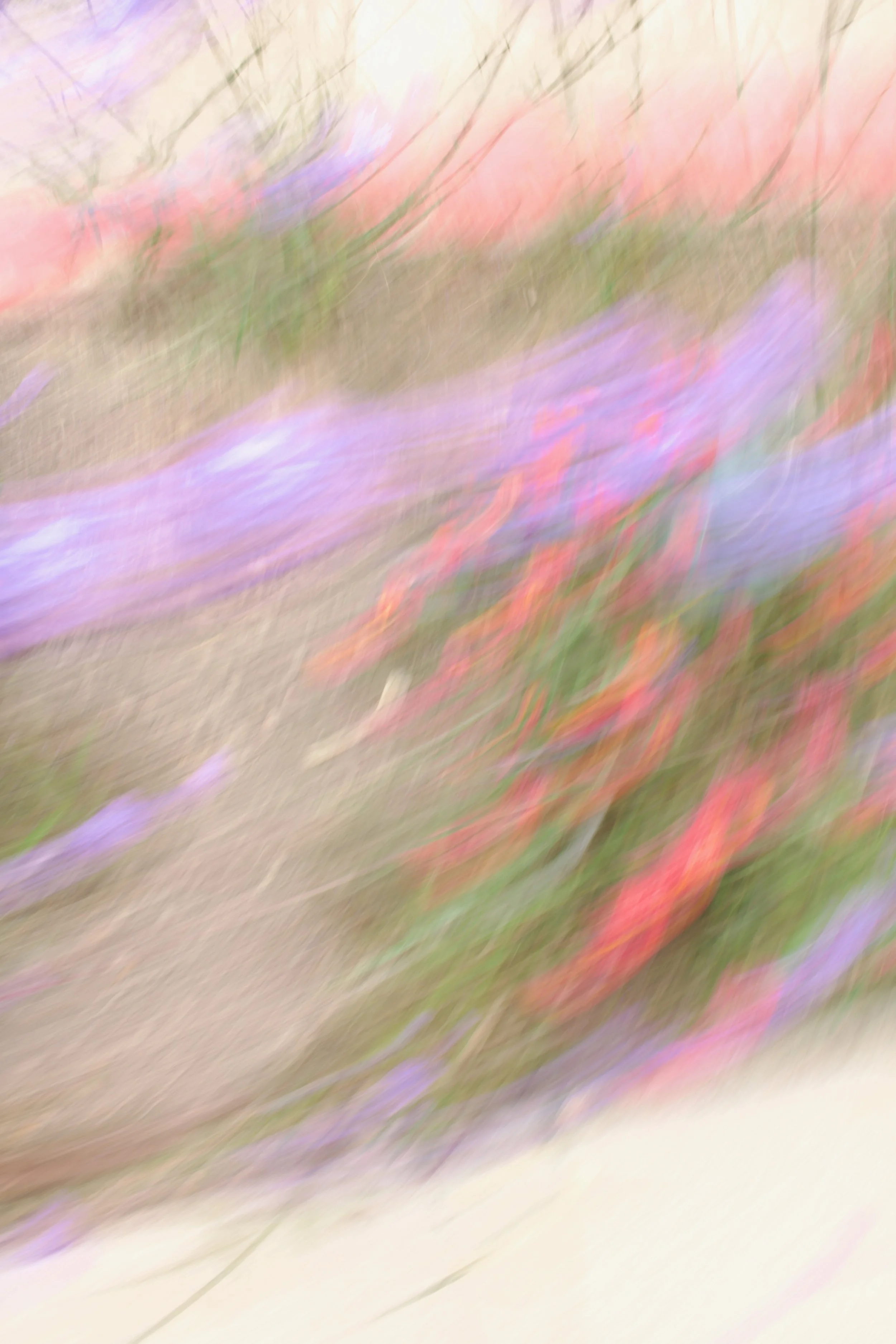  Movement 2023:330 (2023) C-print on wood panel, 60”x40” 