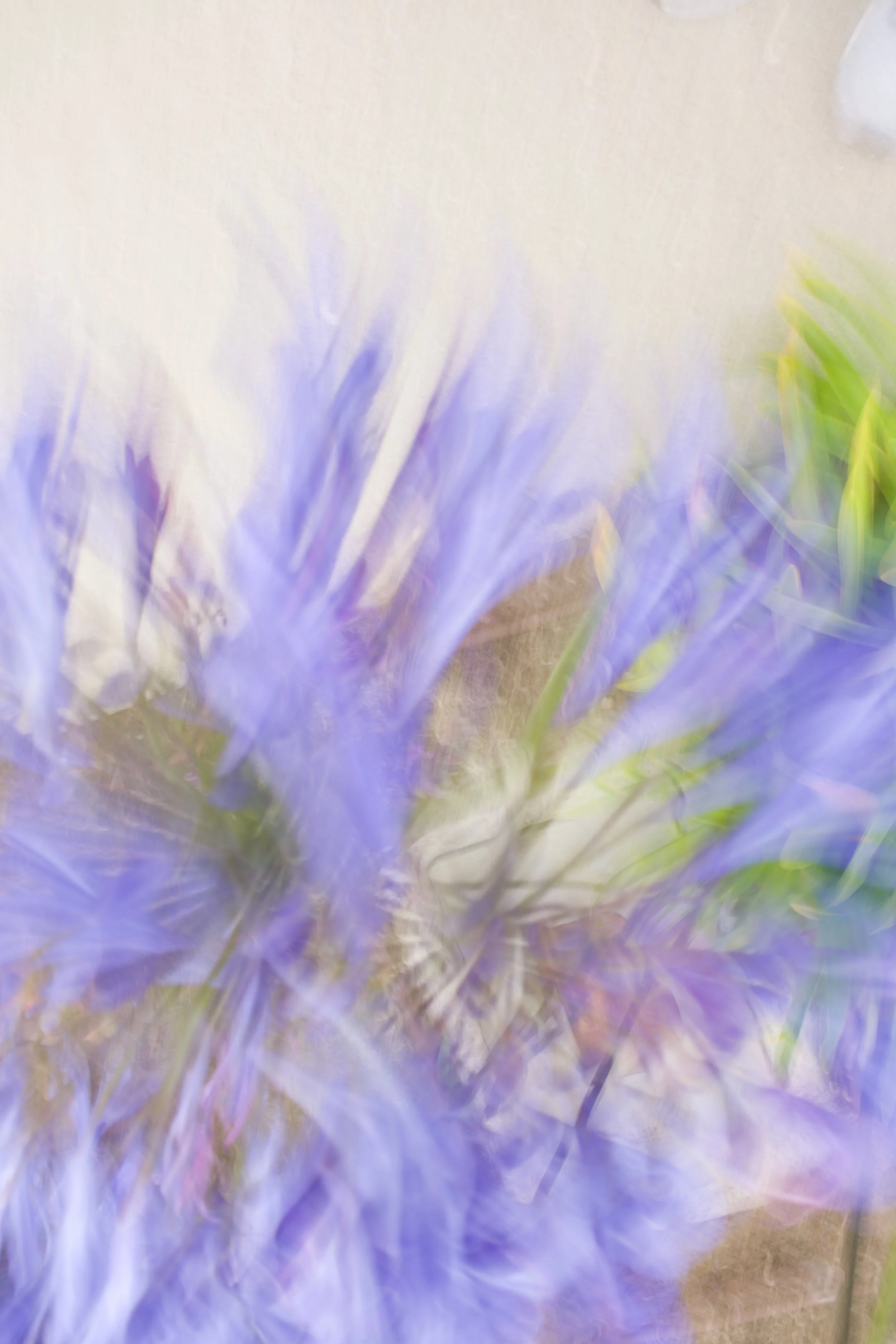  Movement 2023:331 (2023) C-print on wood panel, 60”x40” 