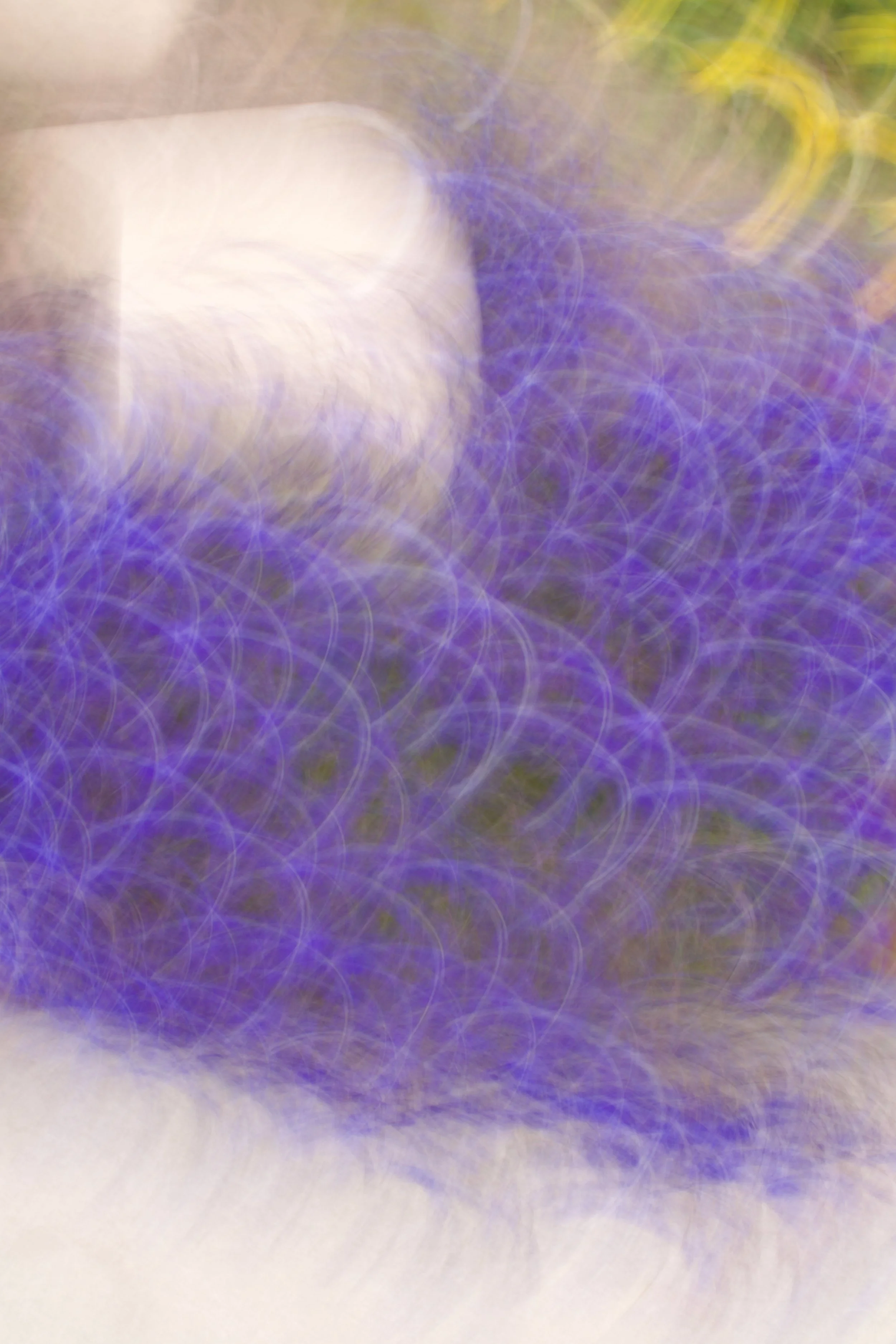  Movement 2023:333 (2023) C-print on wood panel, 60”x40” 