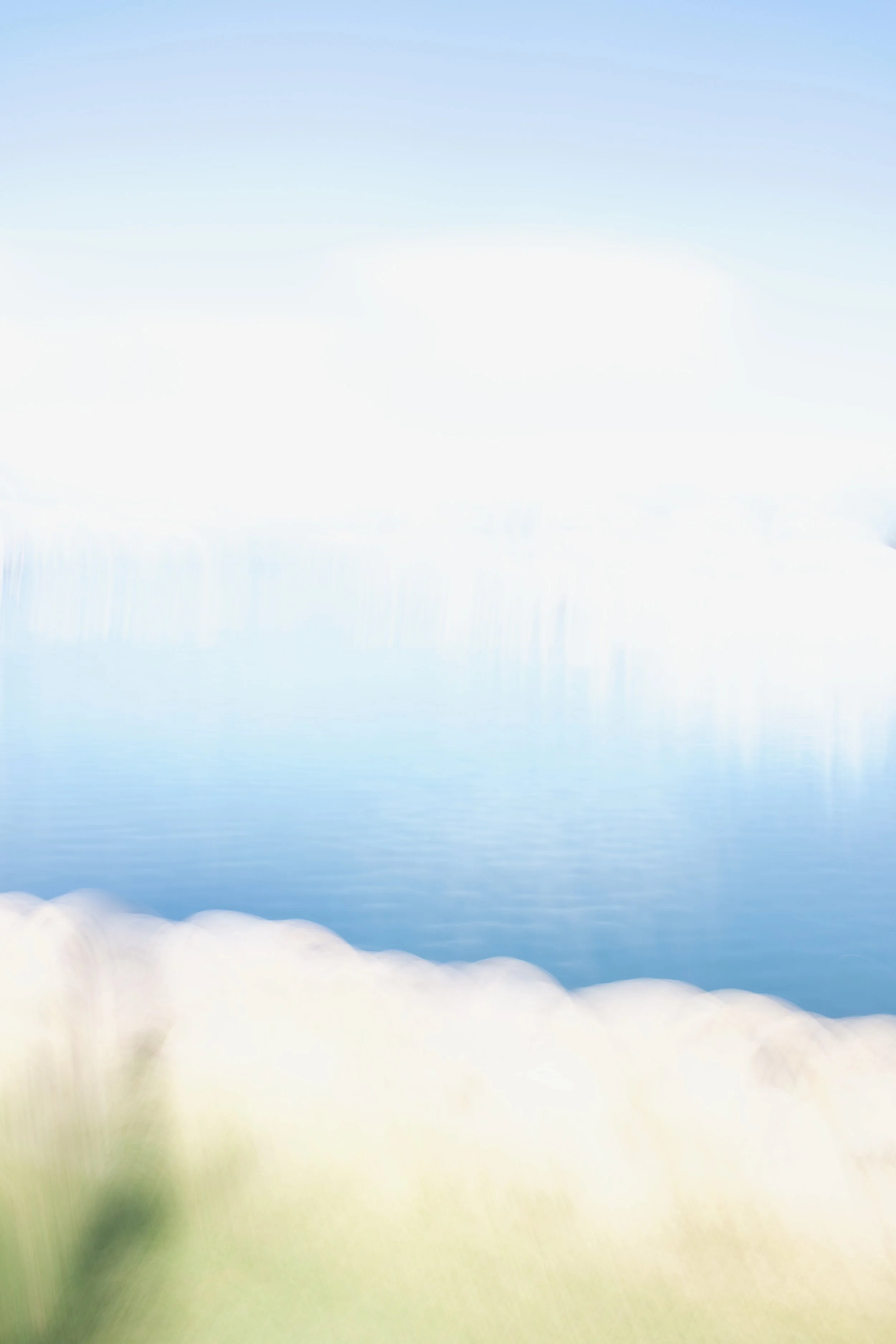  Movement 2023:335 (2023) C-print on wood panel, 60”x40” 