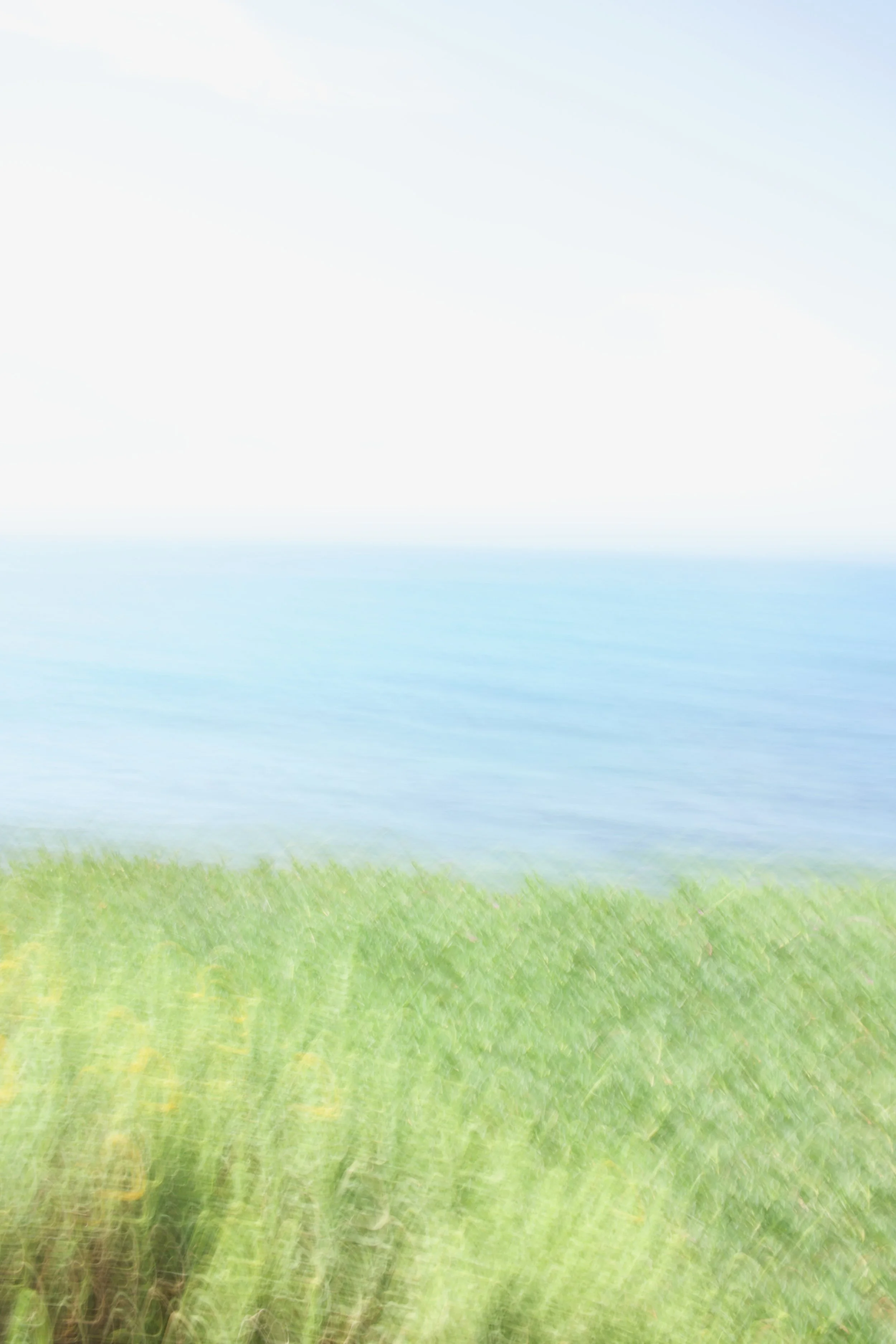  Movement 2023:337 (2023) C-print on wood panel, 60”x40” 