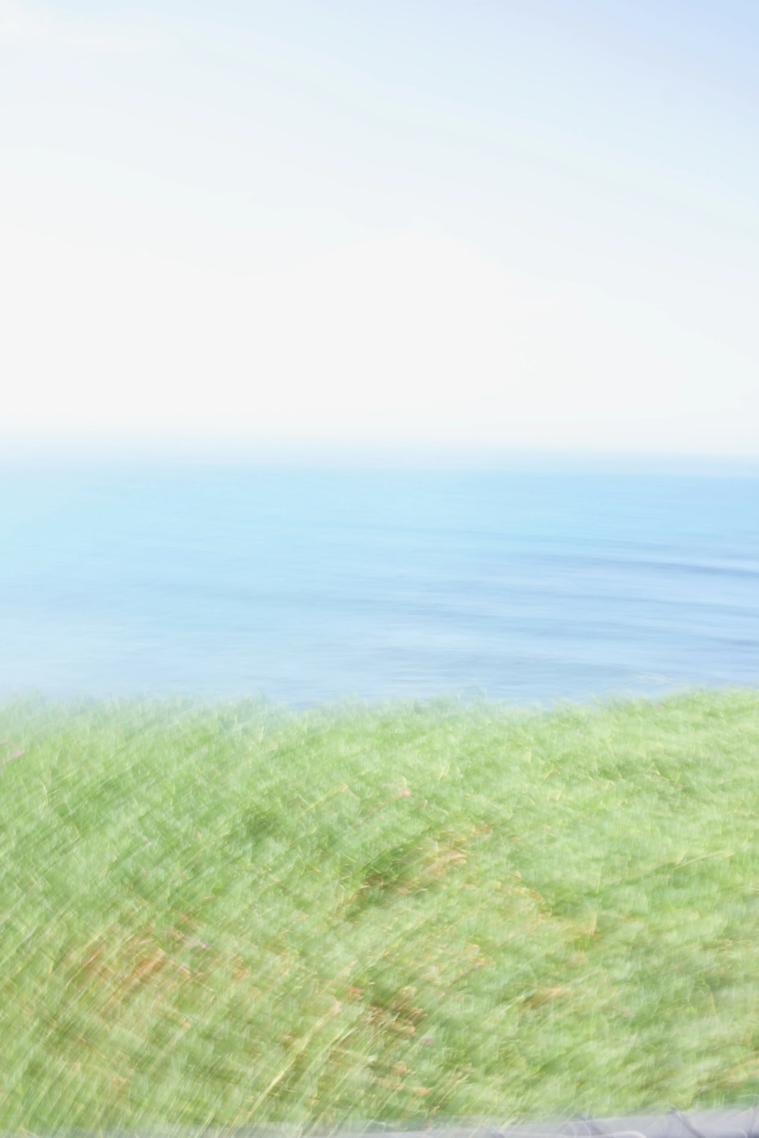  Movement 2023:338 (2023) C-print on wood panel, 60”x40” 