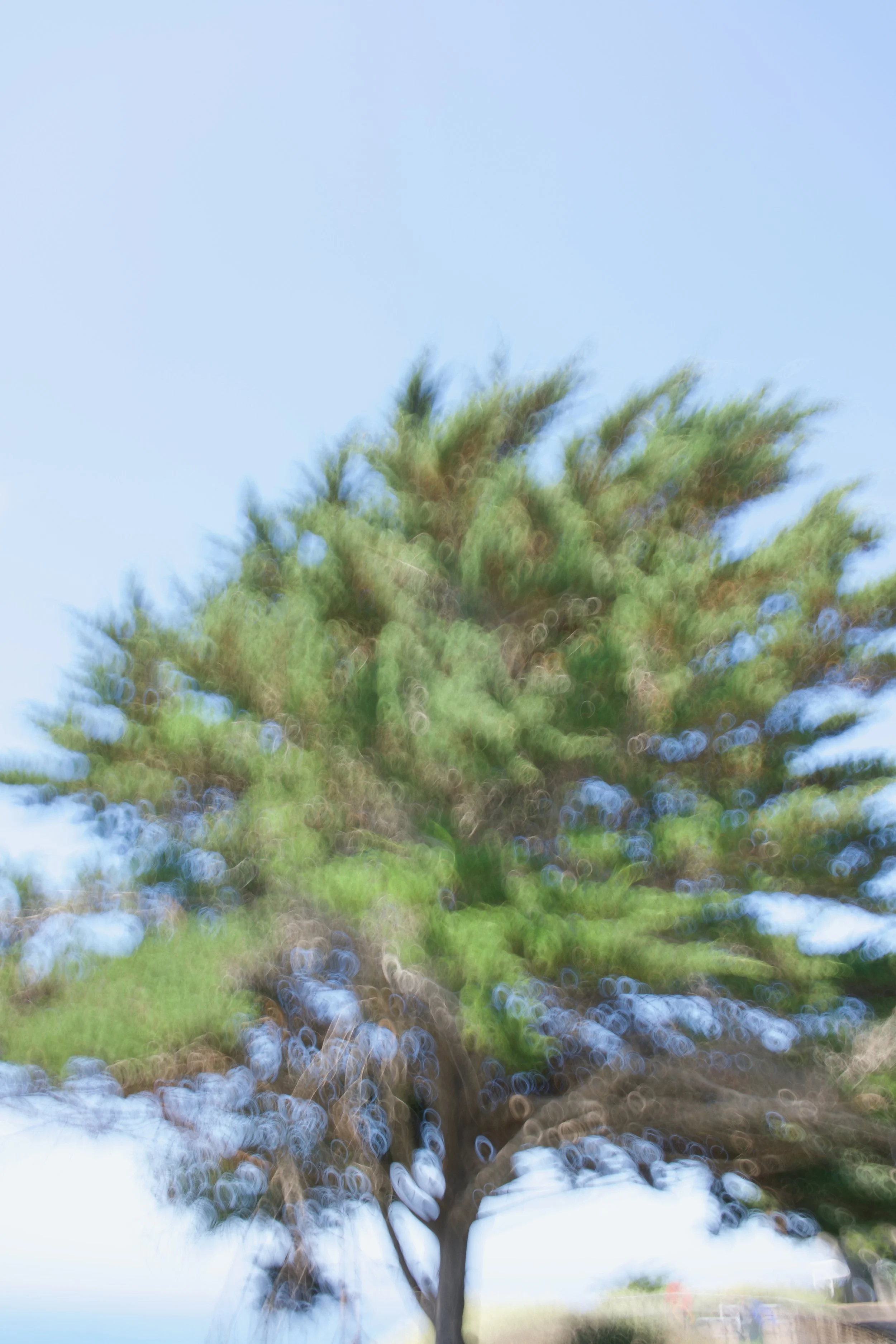  Movement 2023:339 (2023) C-print on wood panel, 60”x40” 