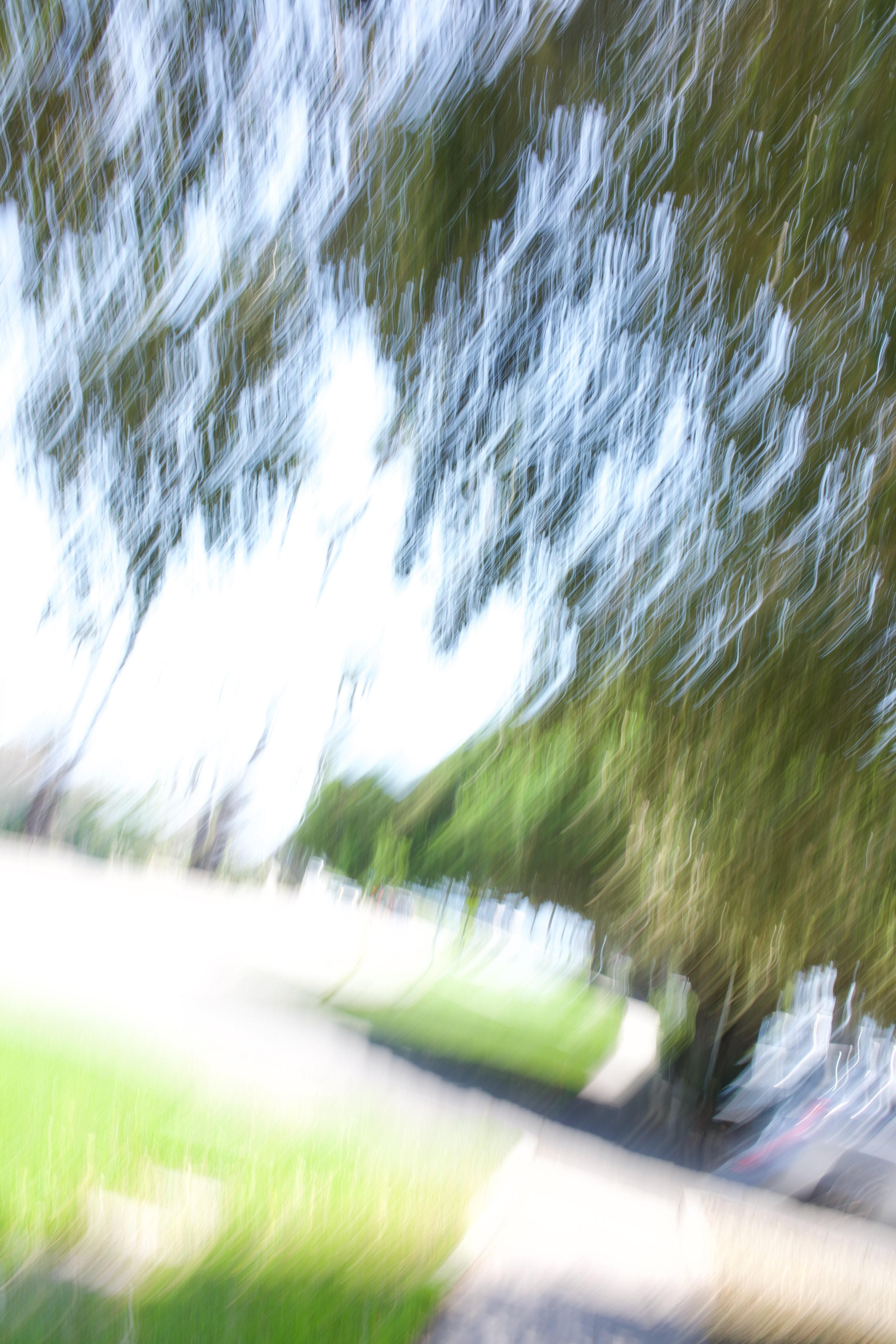  Movement 2023:345 (2023) C-print on wood panel, 60”x40” 