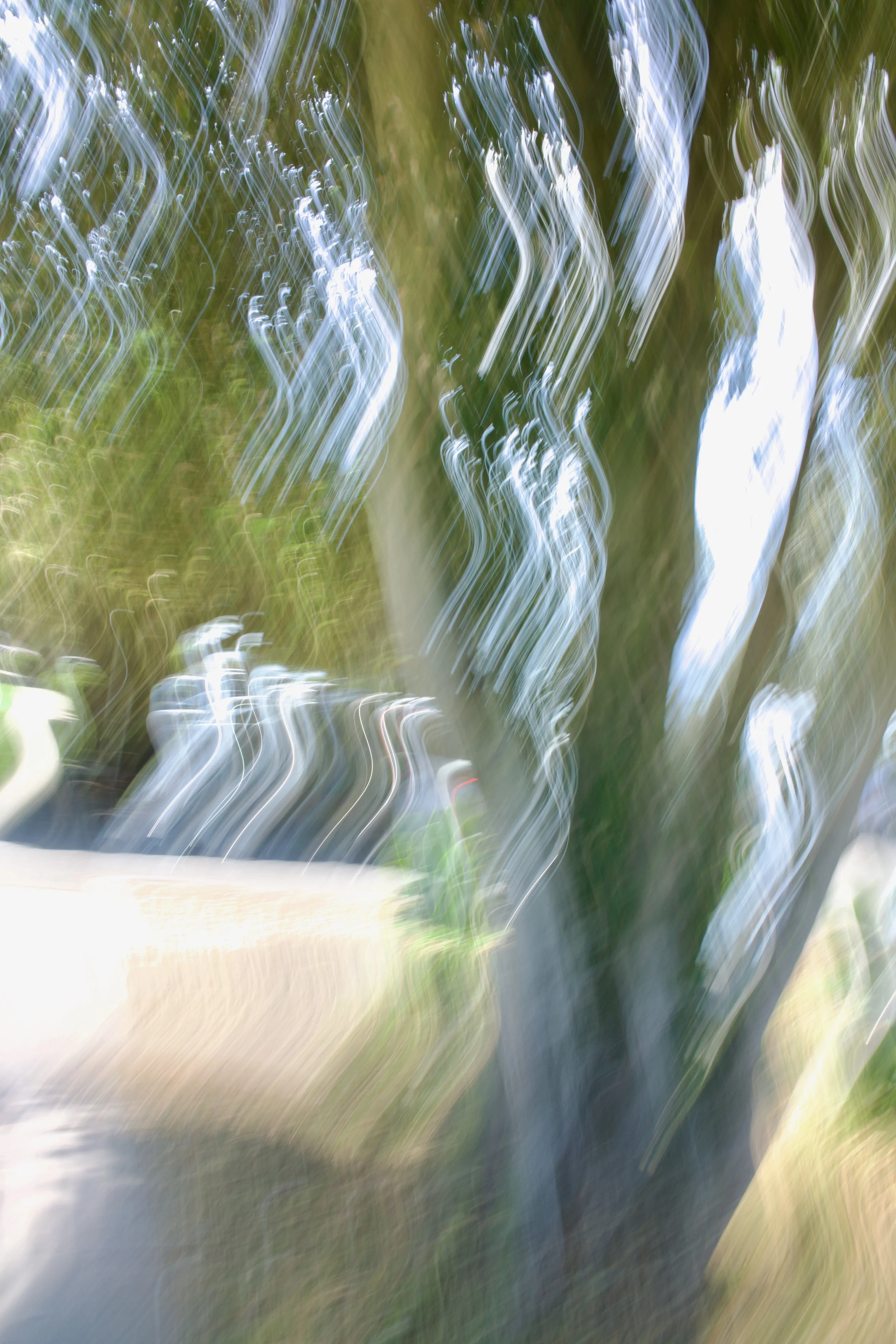  Movement 2023:346 (2023) C-print on wood panel, 60”x40” 