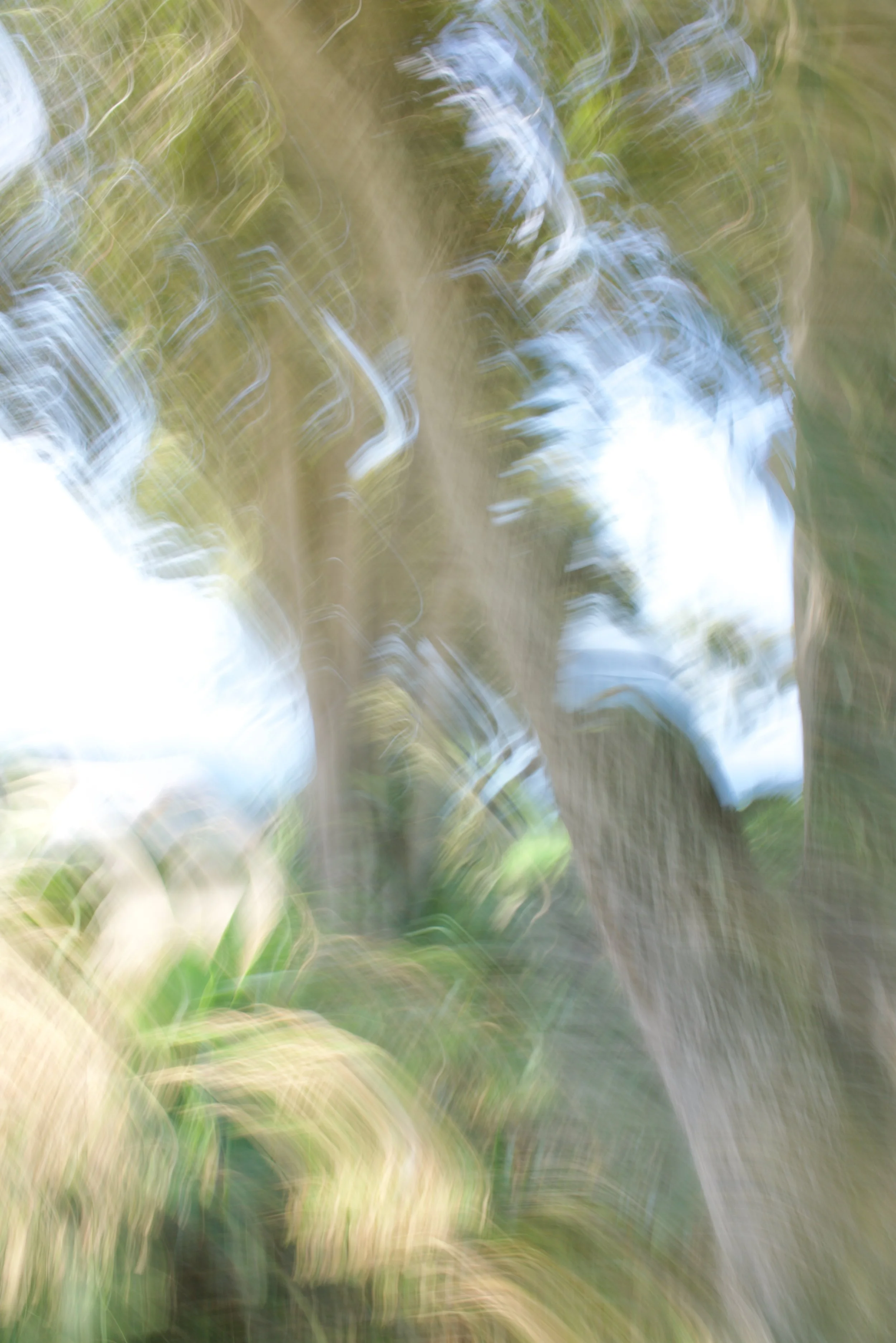  Movement 2023:347  (2023) C-print on wood panel, 60”x40” 