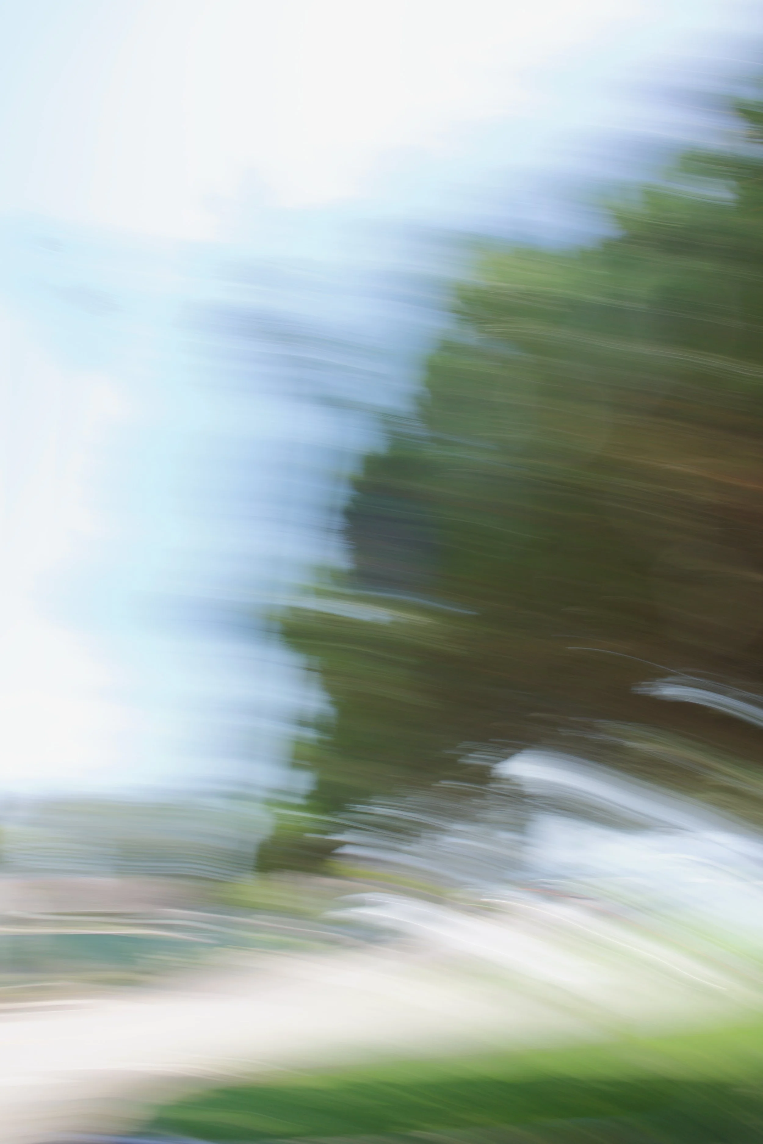  Movement 2023:348 (2023) C-print on wood panel, 60”x40” 