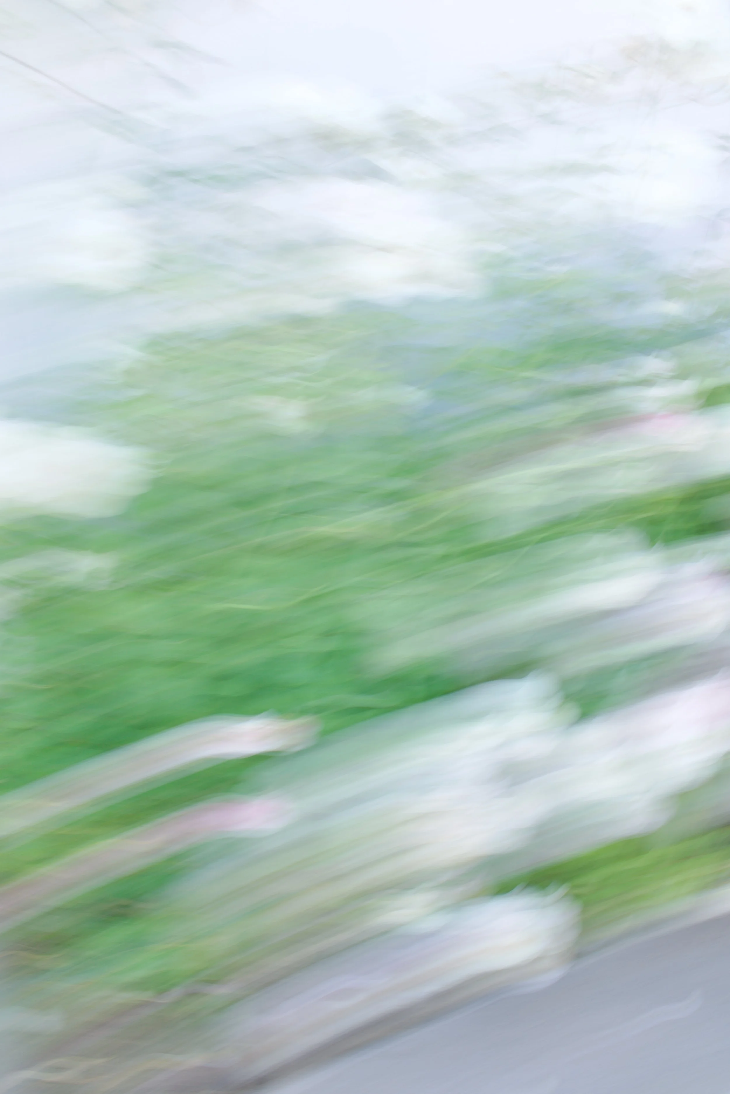  Movement 2023:351 (2023) C-print on wood panel, 60”x40” 