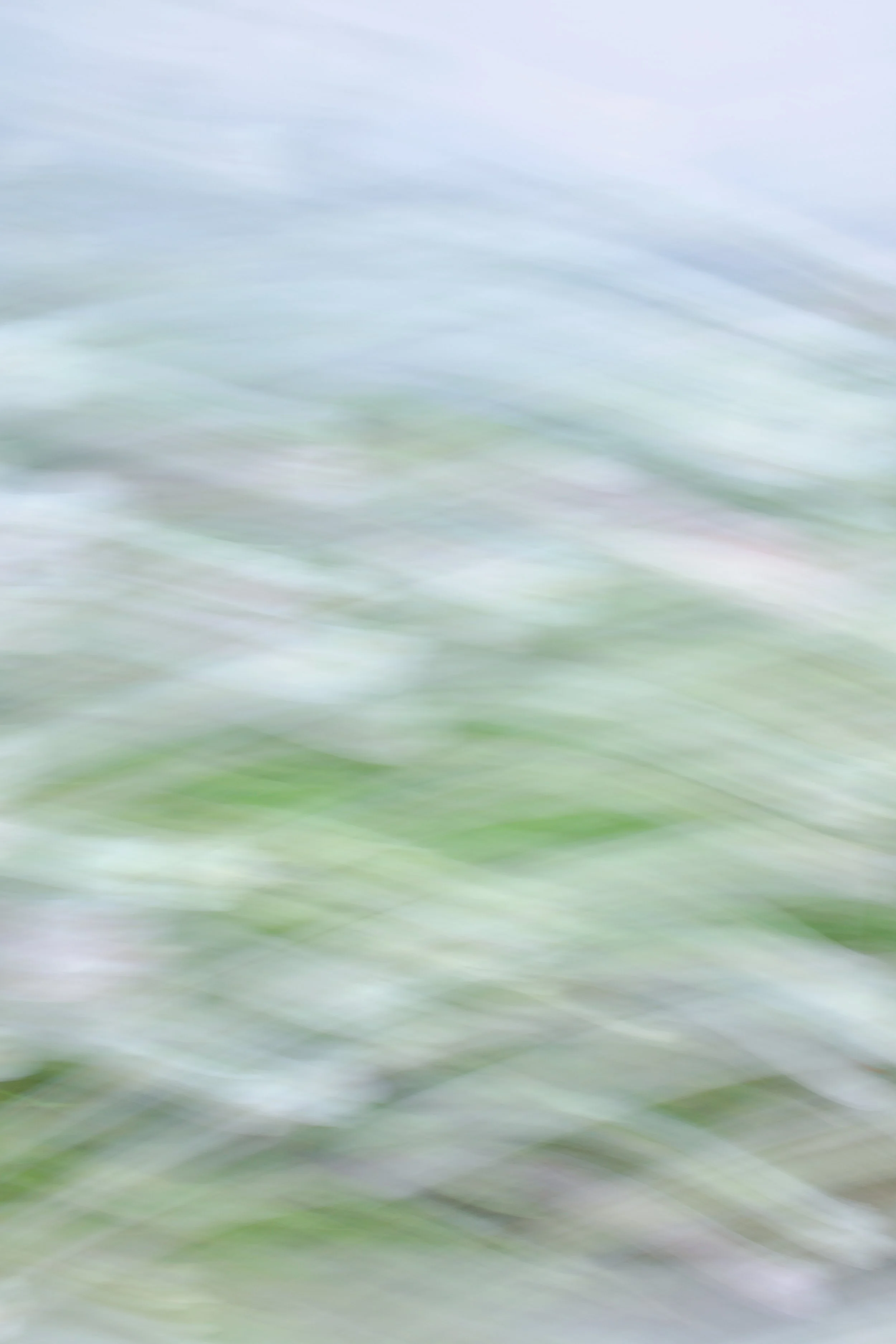  Movement 2023:352 (2023) C-print on wood panel, 60”x40” 