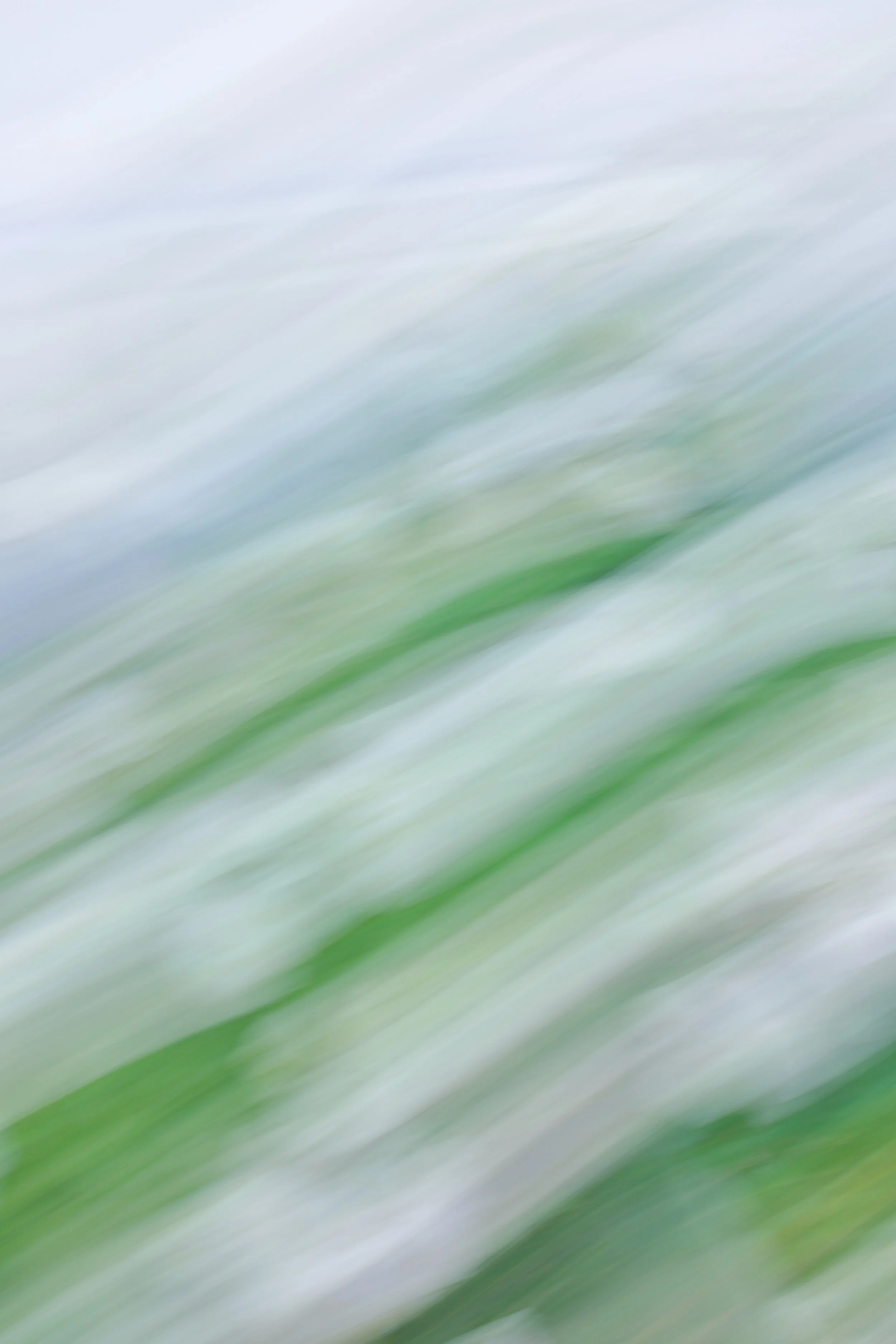  Movement 2023:353 (2023) C-print on wood panel, 60”x40” 