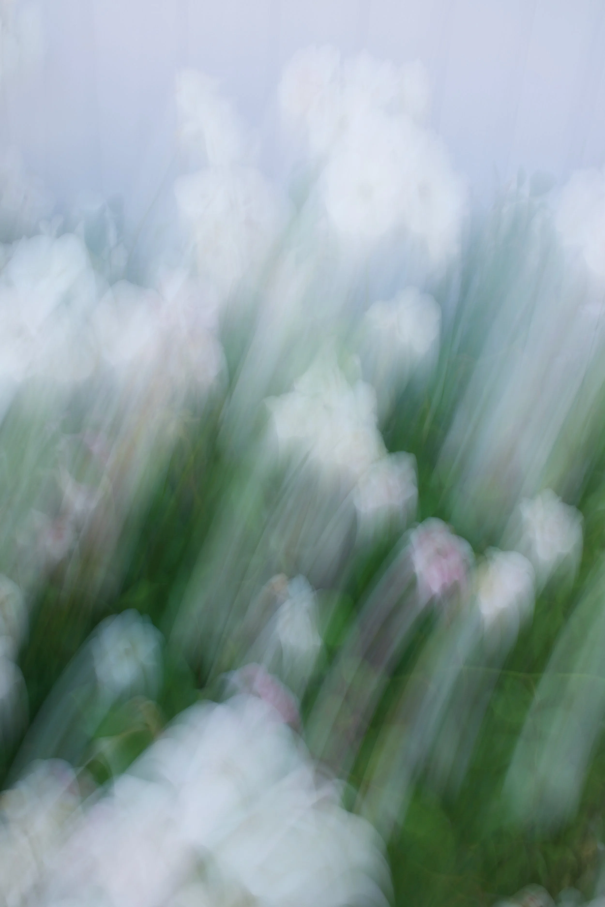  Movement 2023:354 (2023) C-print on wood panel, 60”x40” 