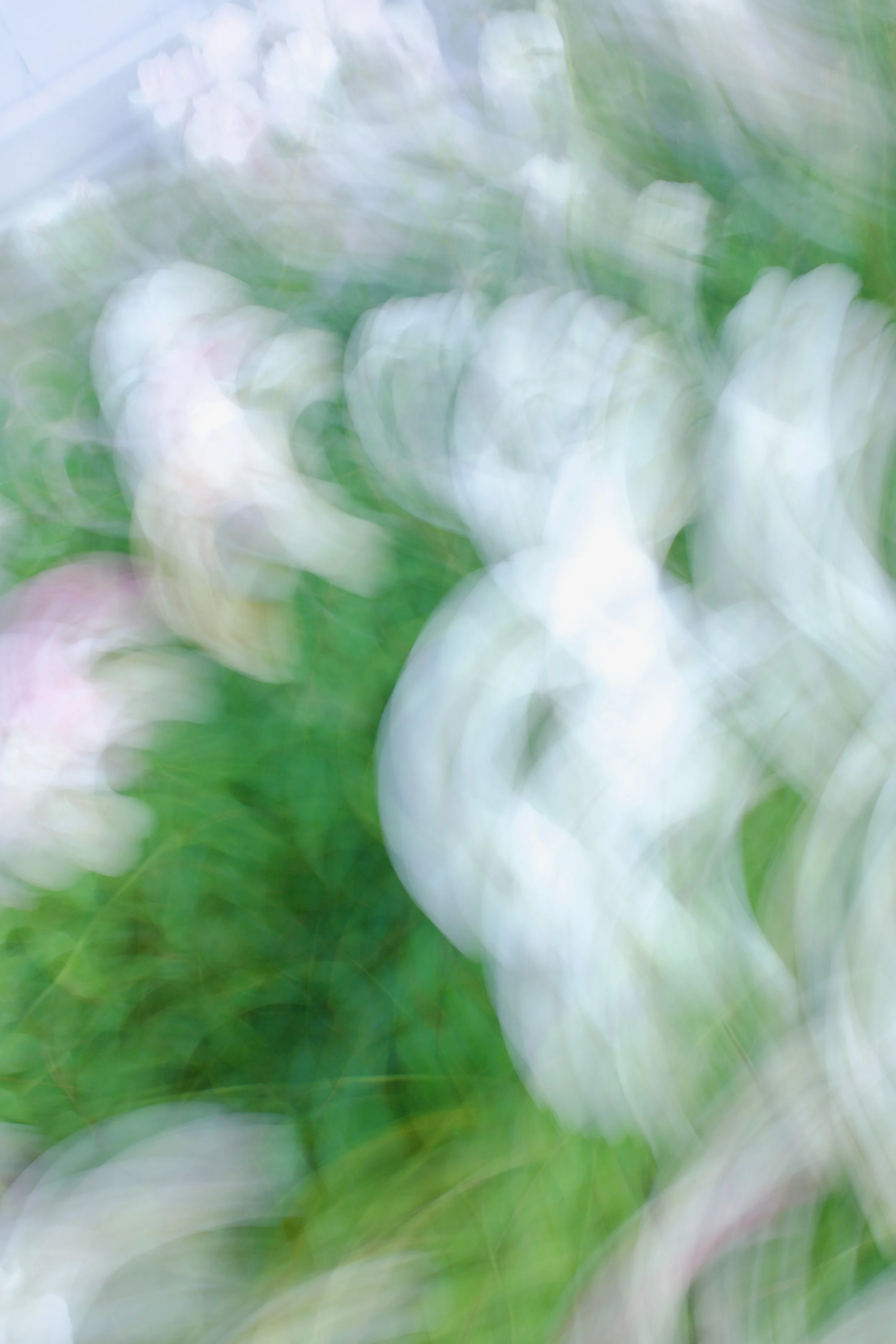  Movement 2023:356 (2023) C-print on wood panel, 60”x40” 