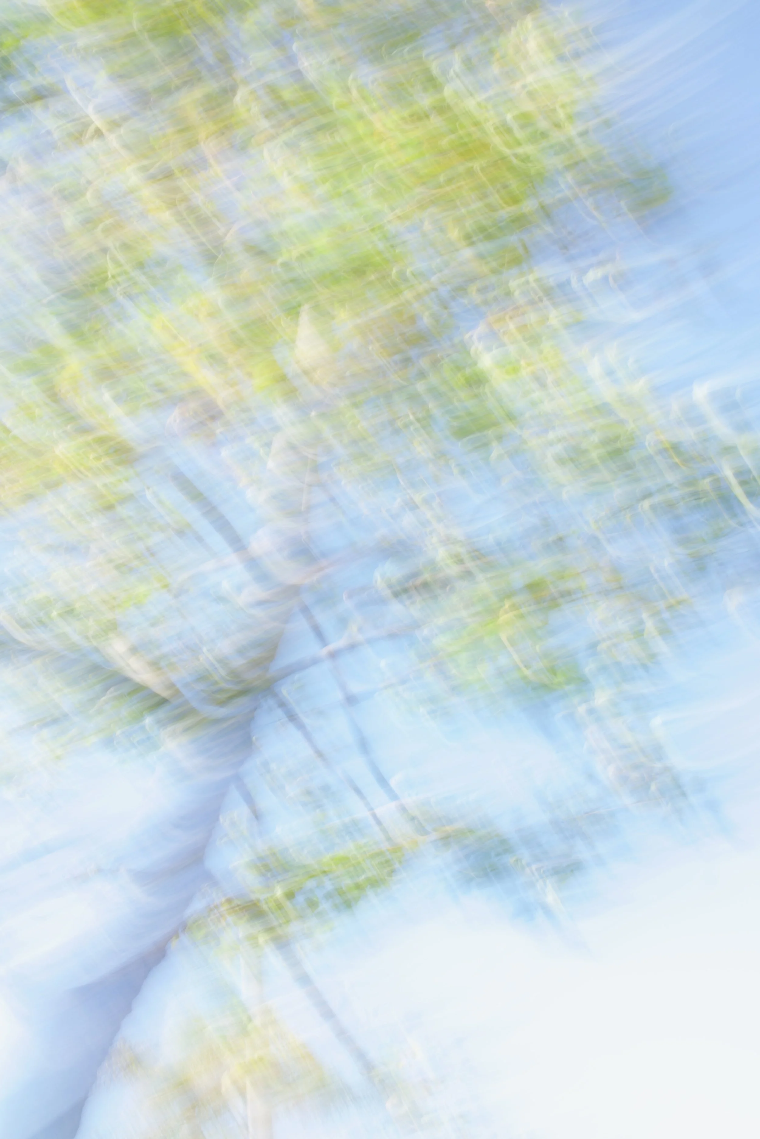  Movement 2023:361 (2023) C-print on wood panel, 60”x40” 