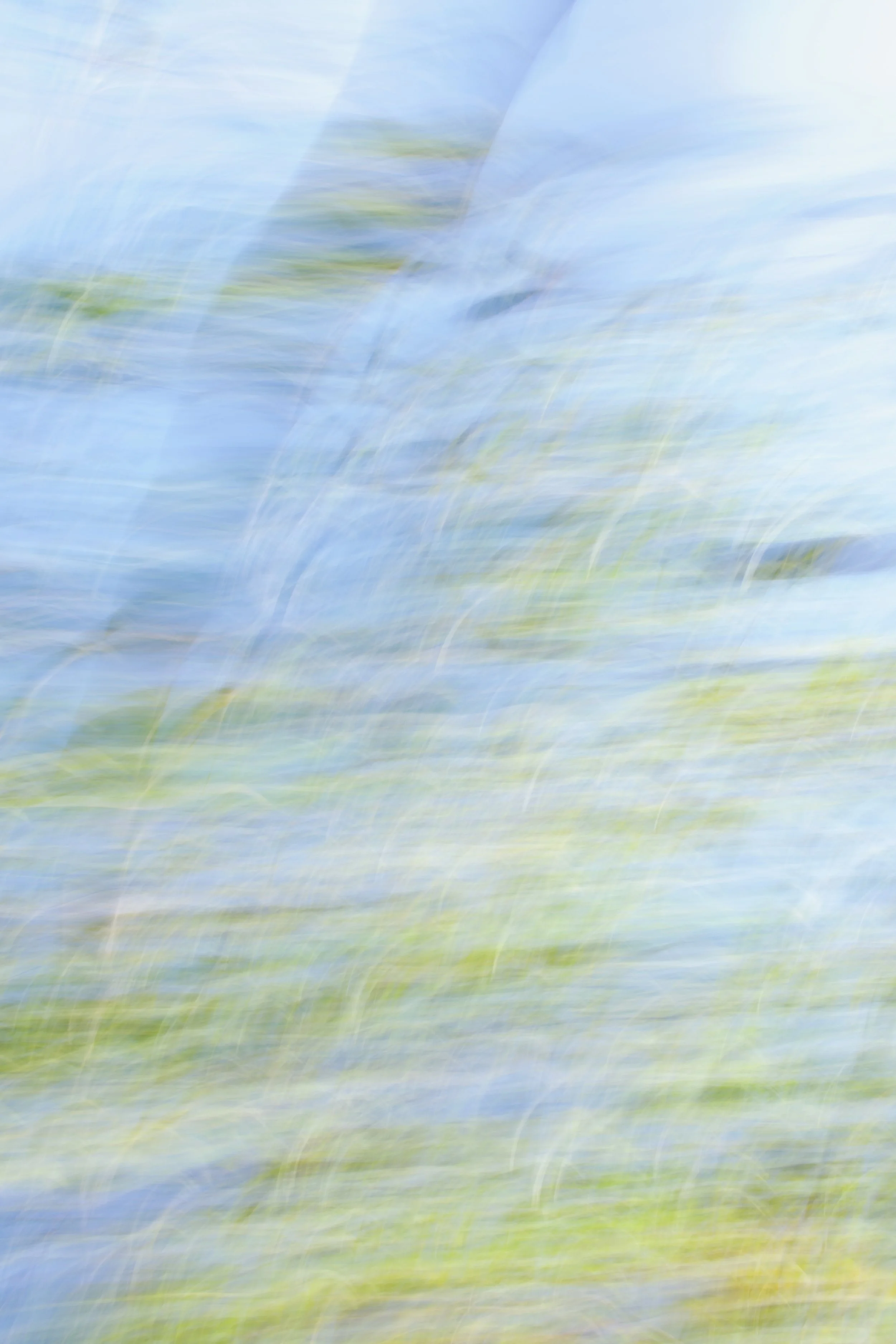  Movement 2023:362 (2023) C-print on wood panel, 60”x40” 