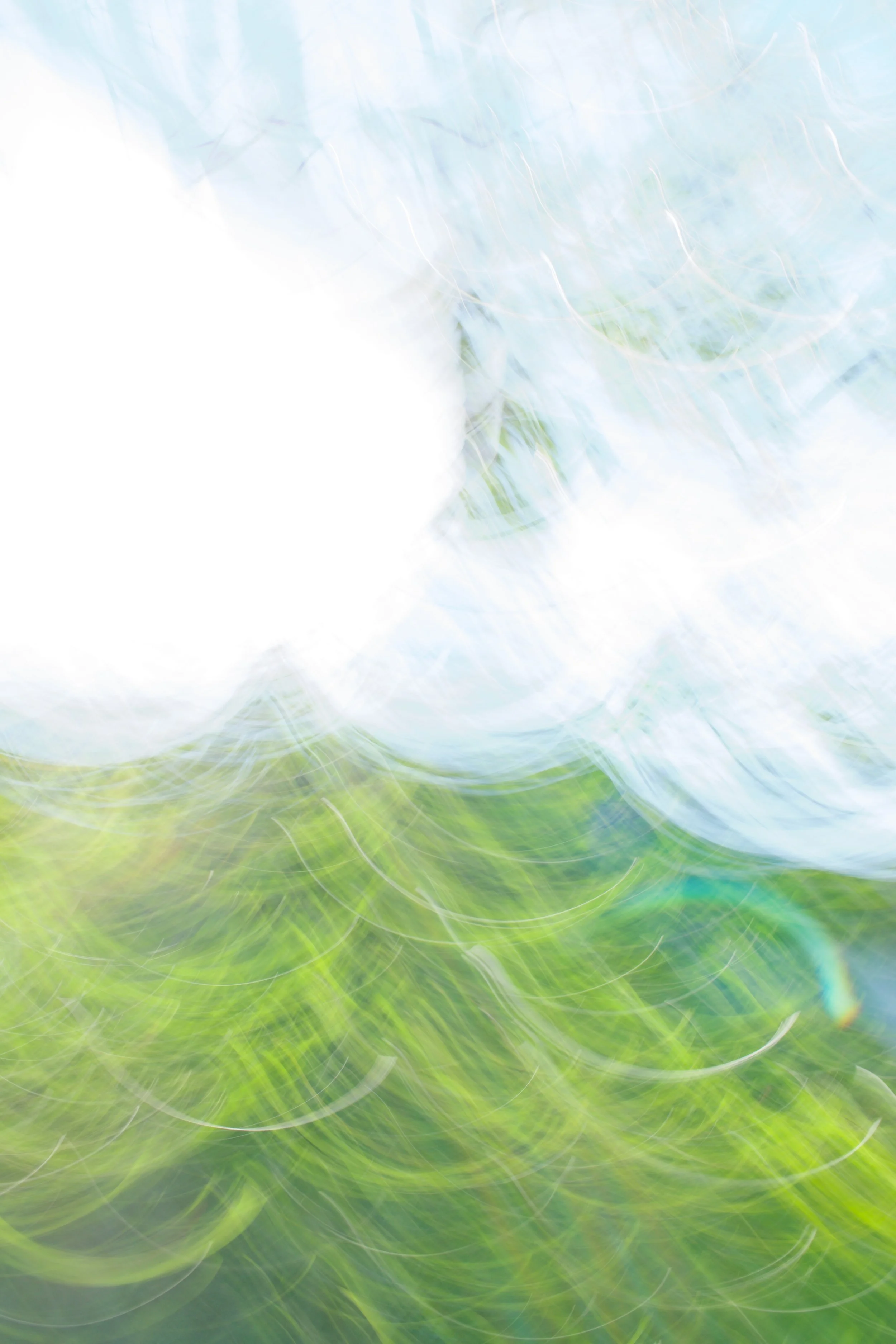  Movement 2023:363 (2023) C-print on wood panel, 60”x40” 